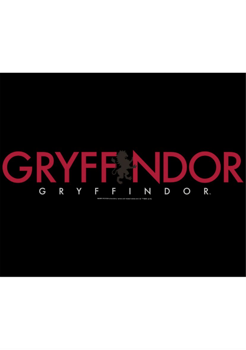  Harry Potter Gryffindor Graphic T-Shirt