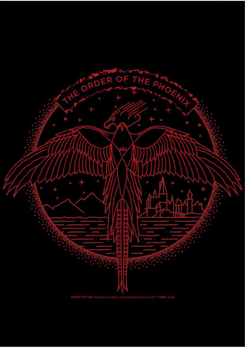 Harry Potter Phoenix Line Art Graphic T-Shirt