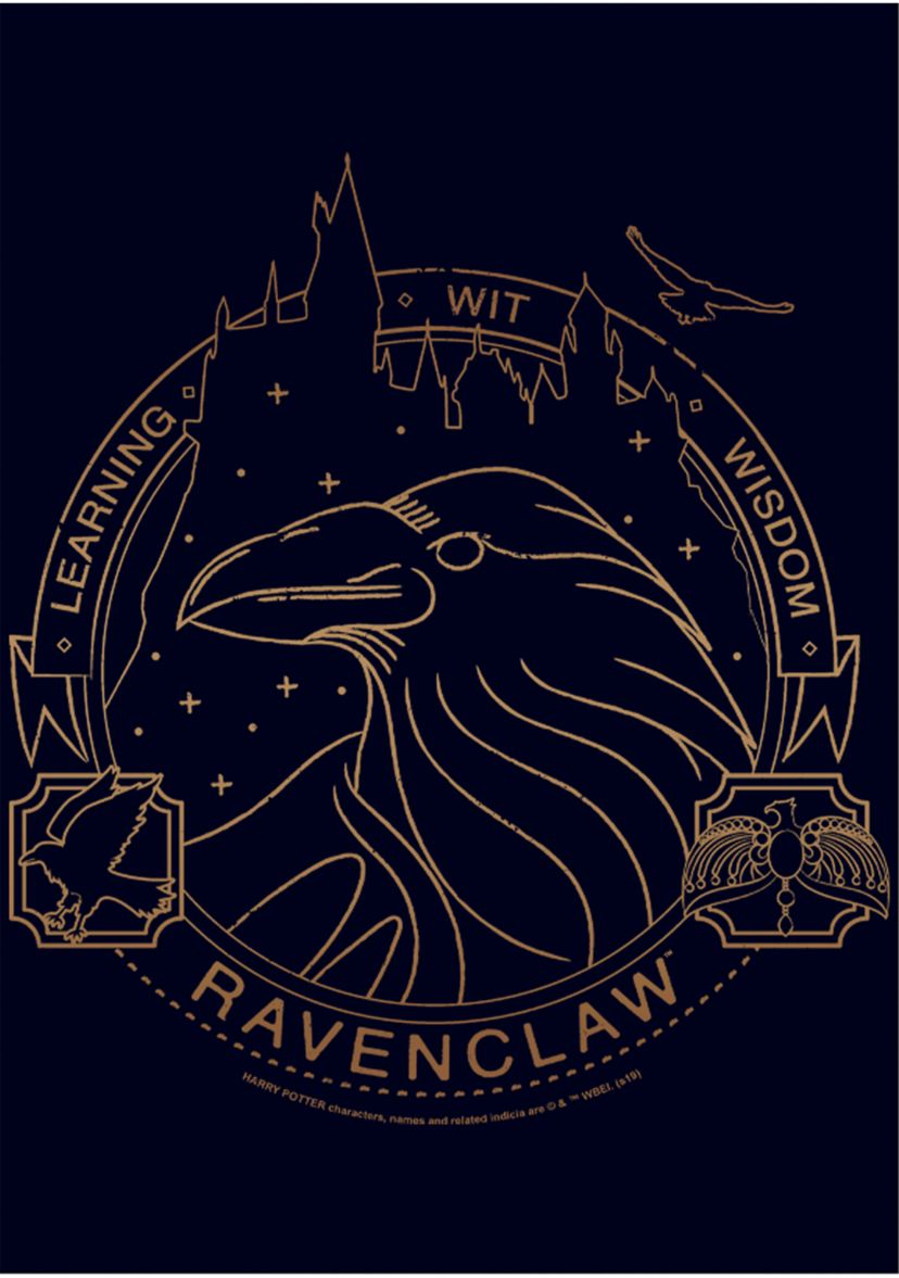 Harry Potter Ravenclaw Line Art Symbol Graphic T-Shirt