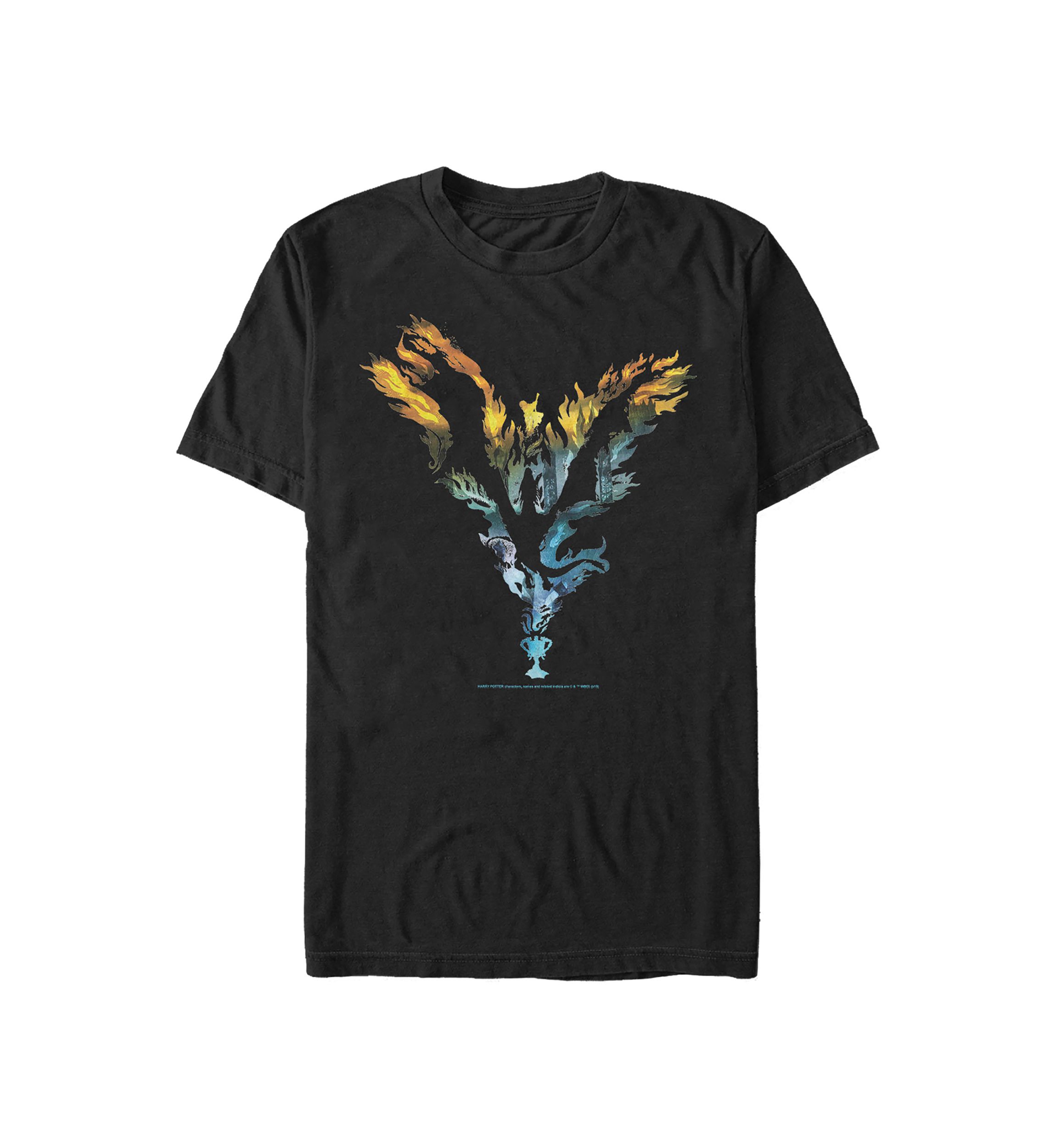 Harry Potter Dragon Silhouette Graphic T-Shirt