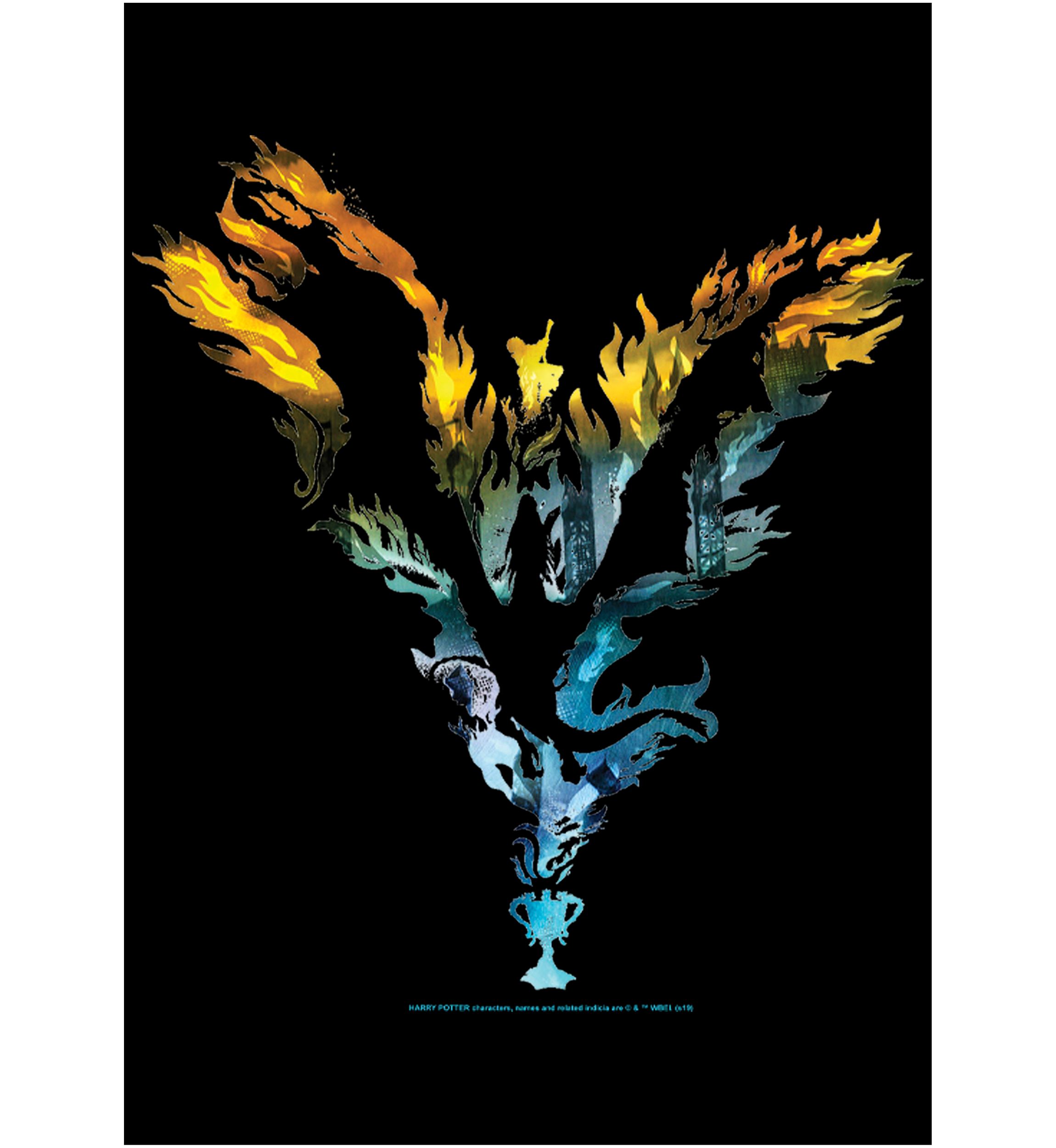 Harry Potter Dragon Silhouette Graphic T-Shirt