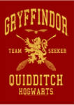Harry Potter Gryffindor Quidditch Seeker Graphic T-Shirt