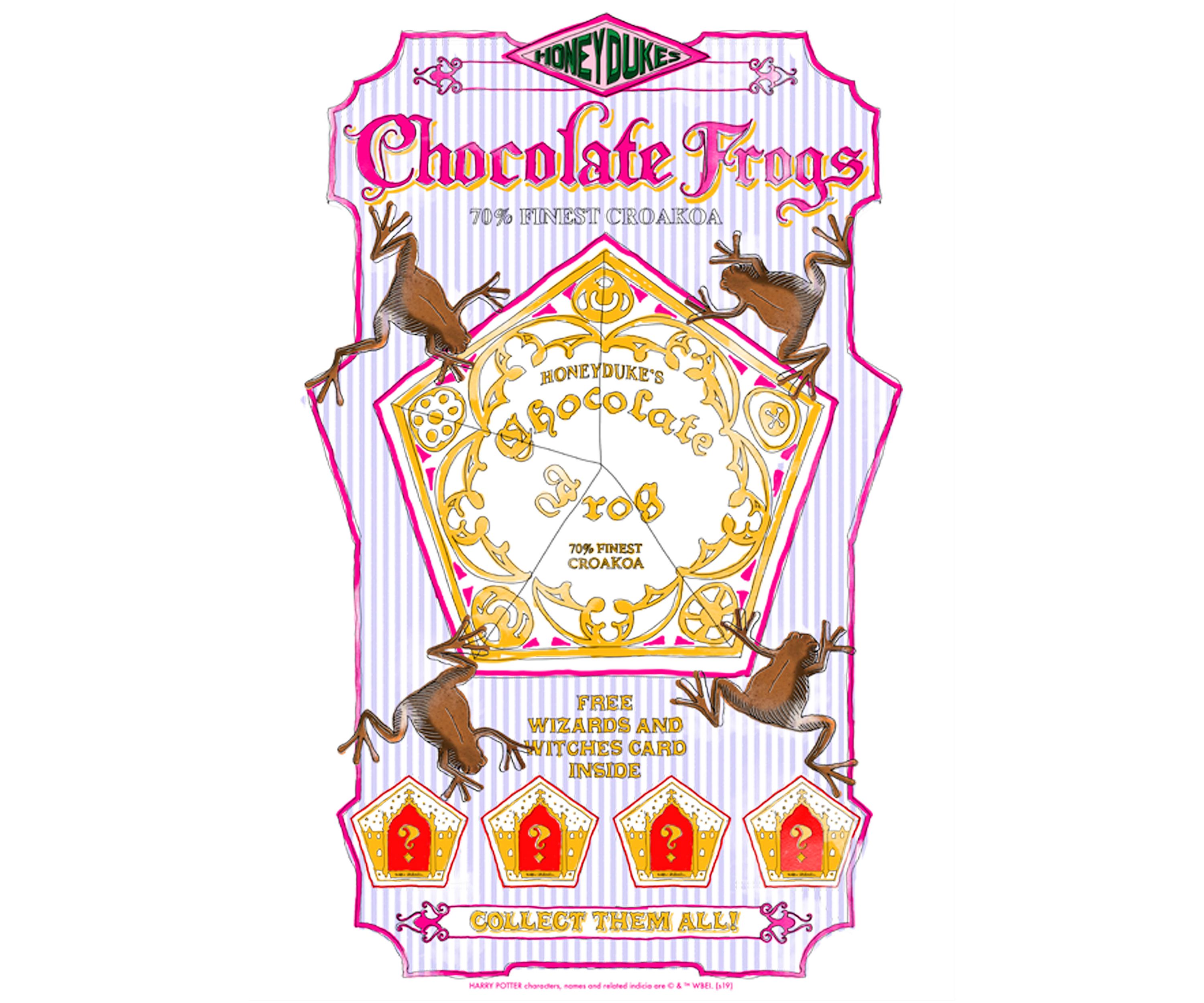 Harry Potter Chocolate Frogs Graphic T-Shirt