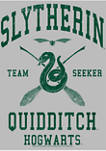 Harry Potter Slytherin Quidditch Seeker Graphic T-Shirt