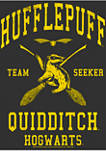 Harry Potter Hufflepuff Quidditch Seeker Graphic T-Shirt