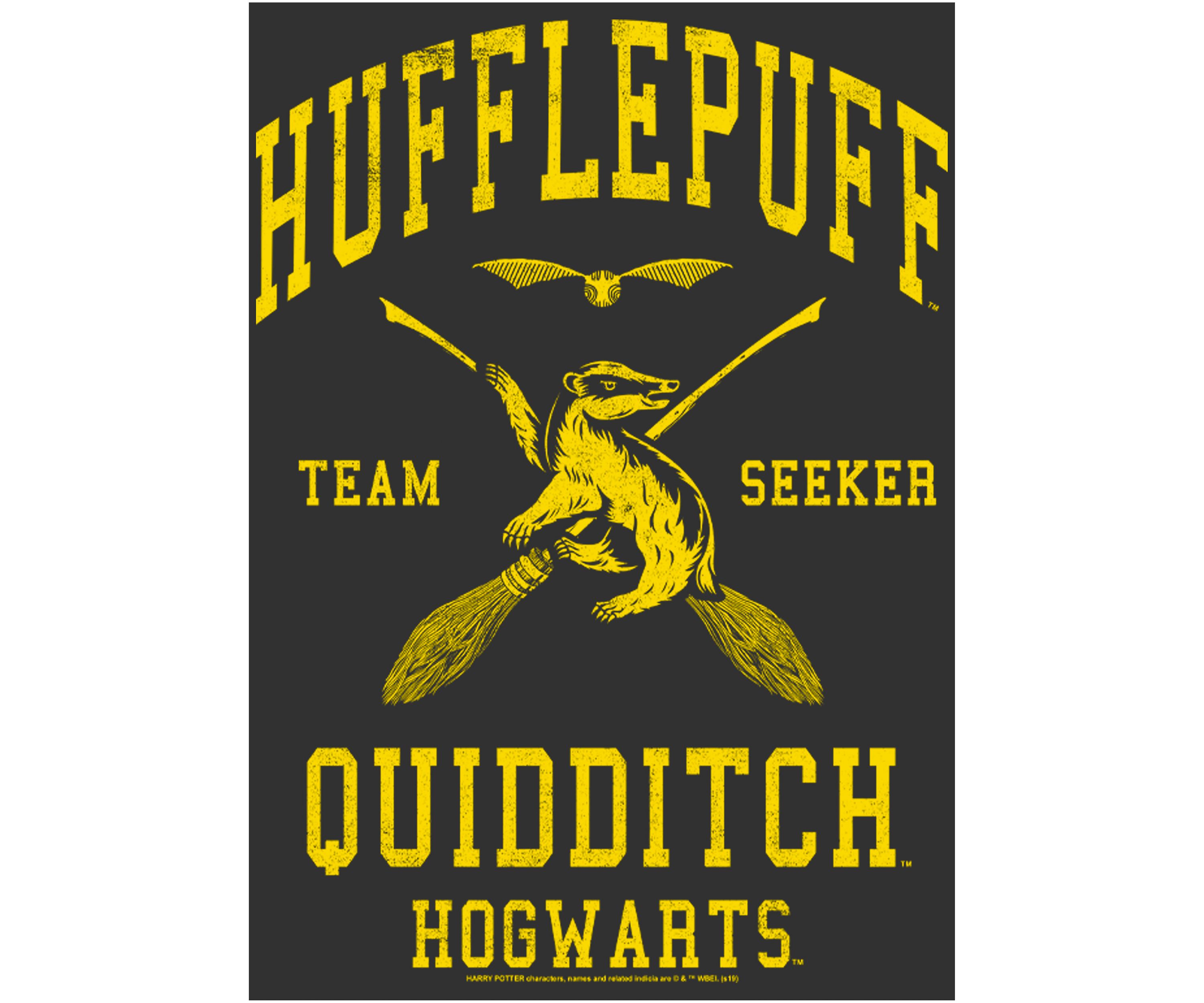 Harry Potter Hufflepuff Quidditch Seeker Graphic T-Shirt