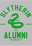 Harry Potter Slytherin House Alumni Graphic T-Shirt