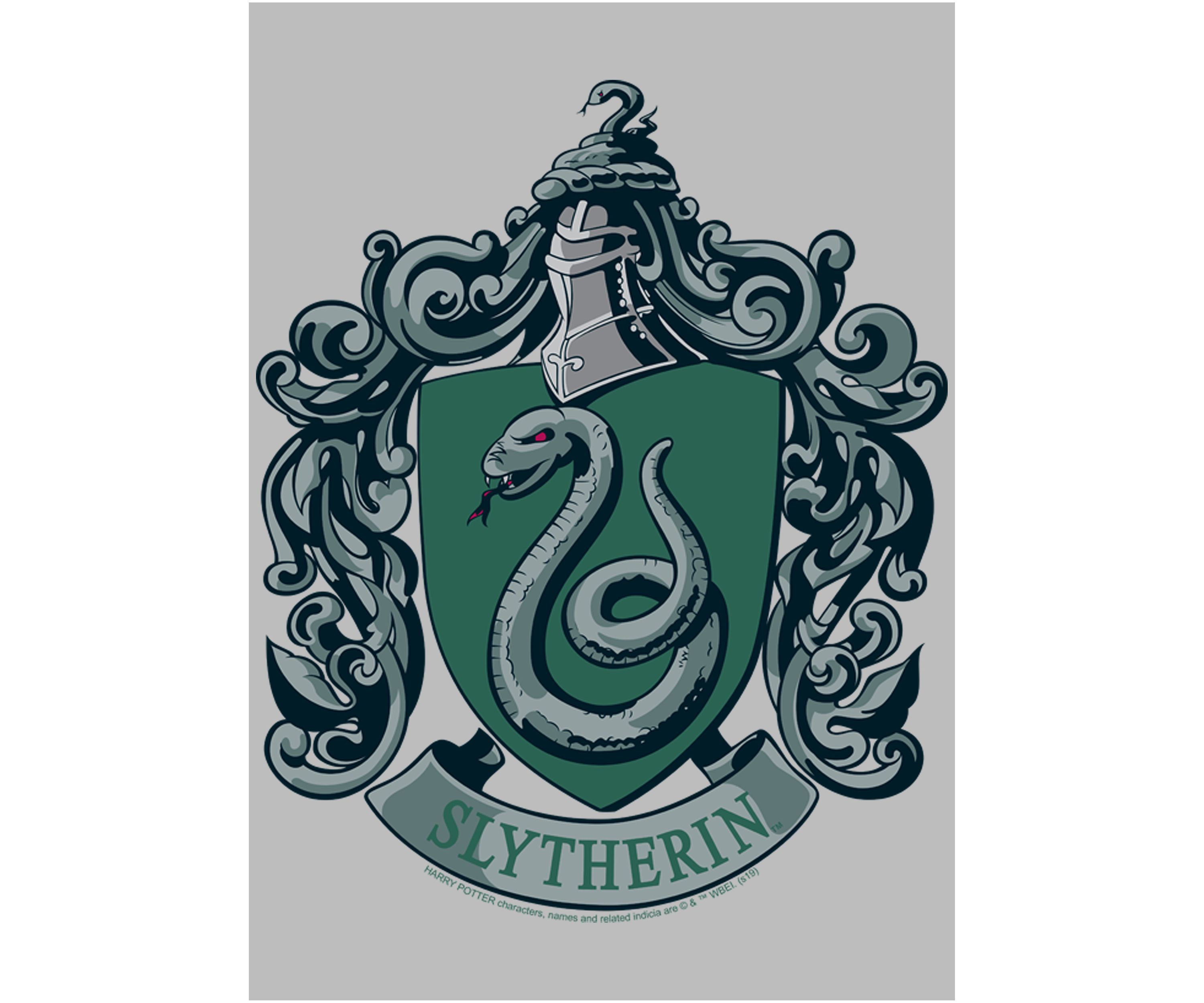 Mens Harry Potter Slytherin House Crest Graphic T-Shirt