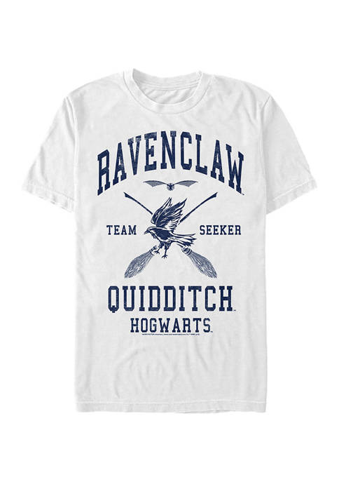 Harry Potter™ Harry Potter Ravenclaw Quidditch Seeker Graphic