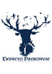 Harry Potter Expecto Patronum Graphic T-Shirt