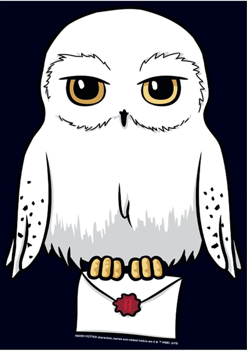 Harry Potter Anime Hedwig Mail Graphic T-Shirt