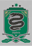 Harry Potter Slytherin Shield Graphic T-Shirt