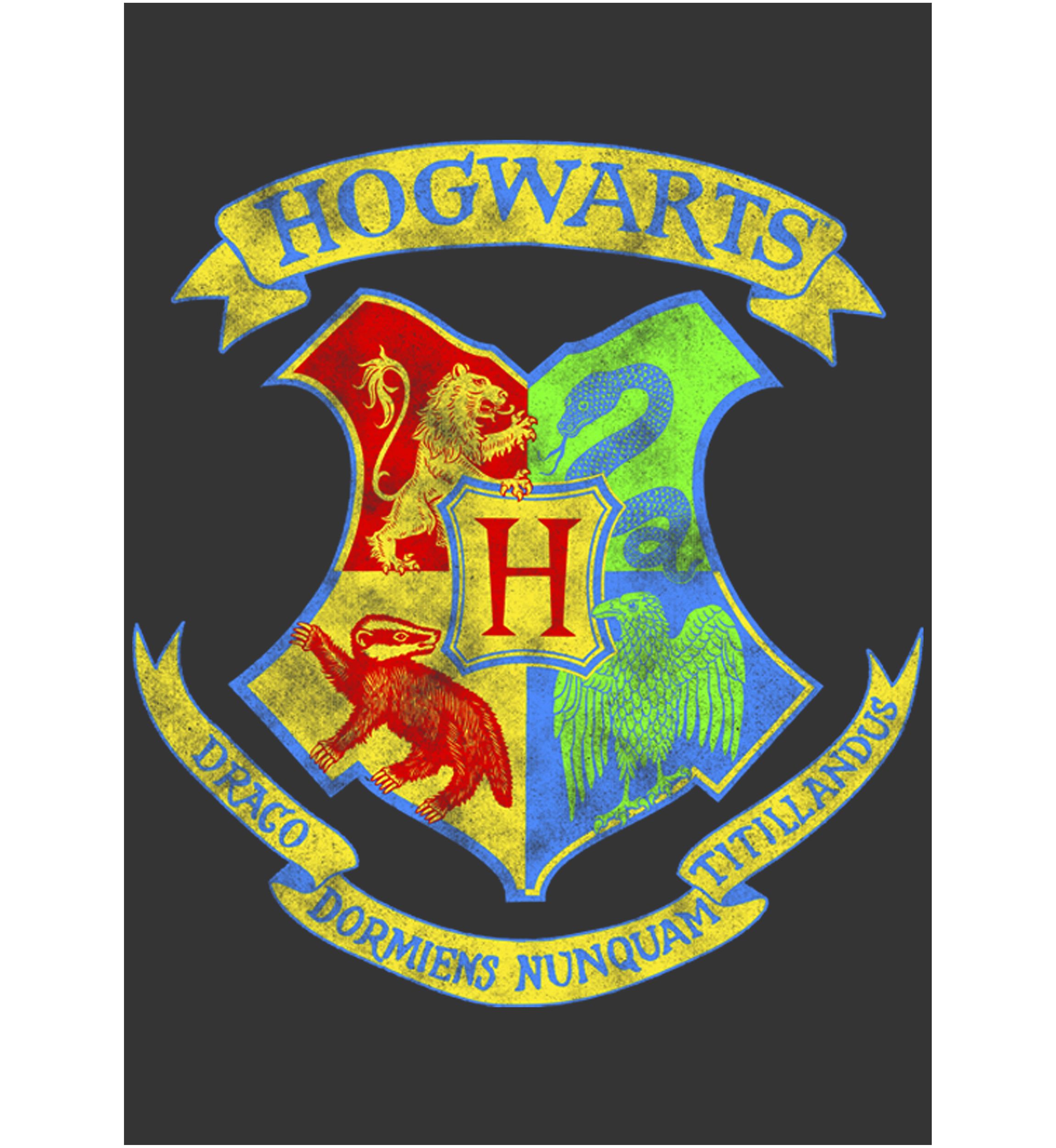 Harry Potter Neon Crest Graphic T-Shirt