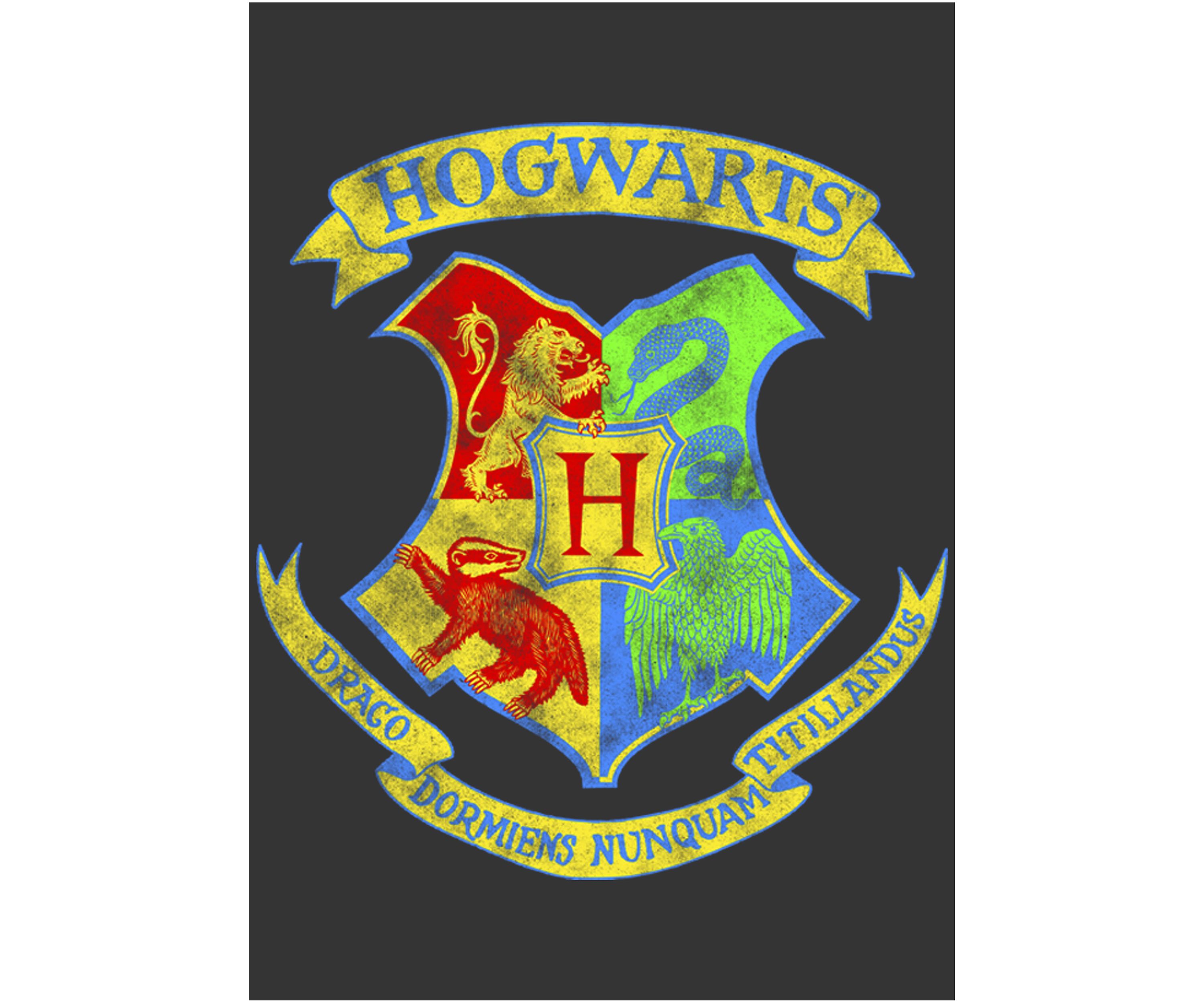 Harry Potter Neon Crest Graphic T-Shirt