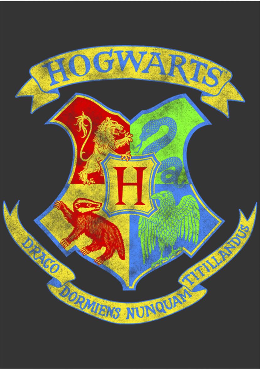 Harry Potter Neon Crest Graphic T-Shirt