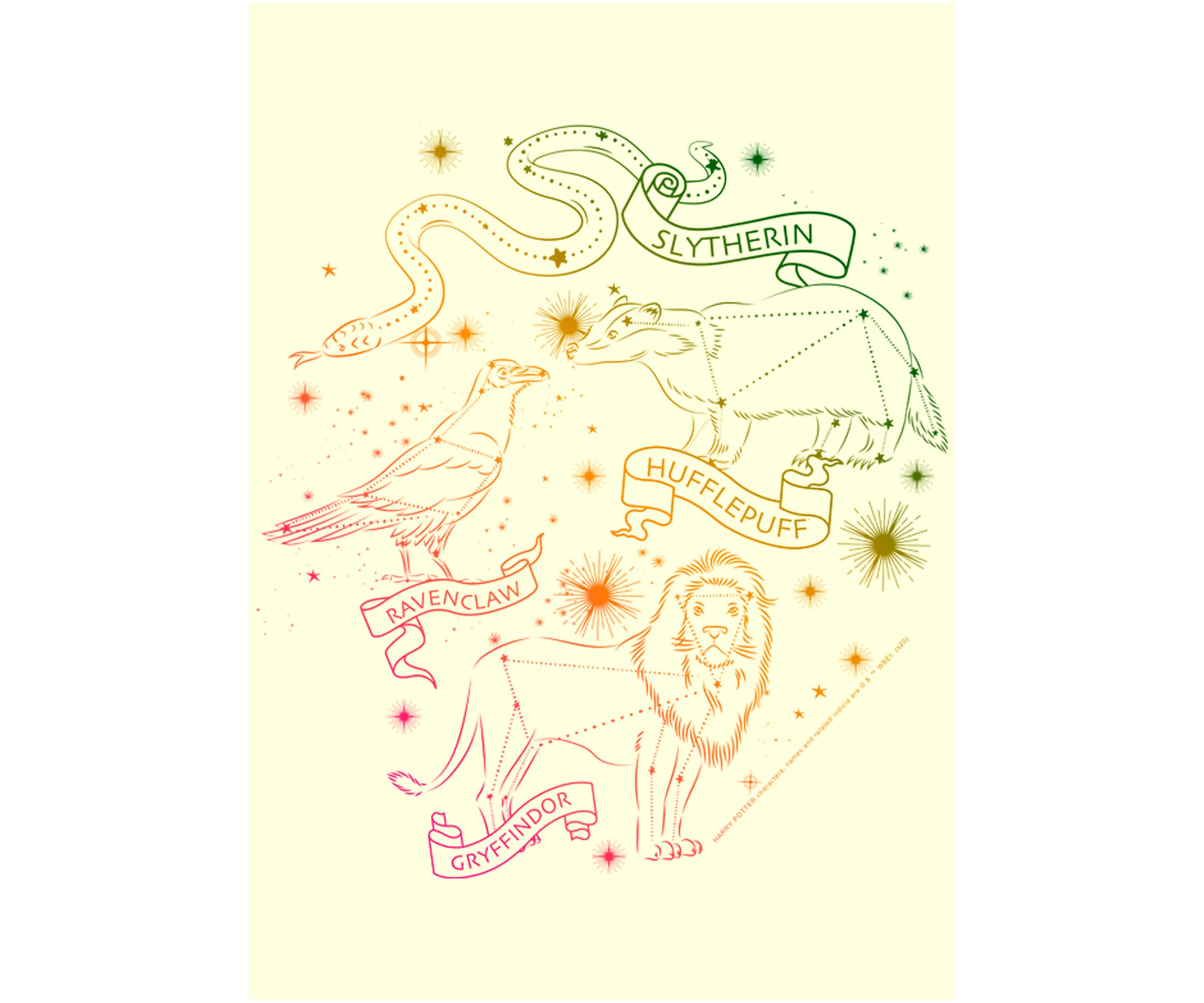 Harry Potter House Constellations Graphic T-Shirt