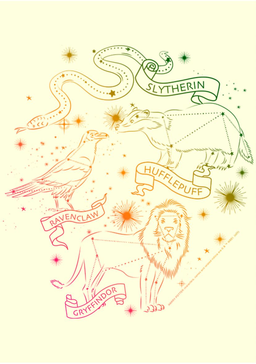 Harry Potter House Constellations Graphic T-Shirt