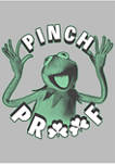 Muppets Pinch Proof Kermit Graphic Short Sleeve T-Shirt