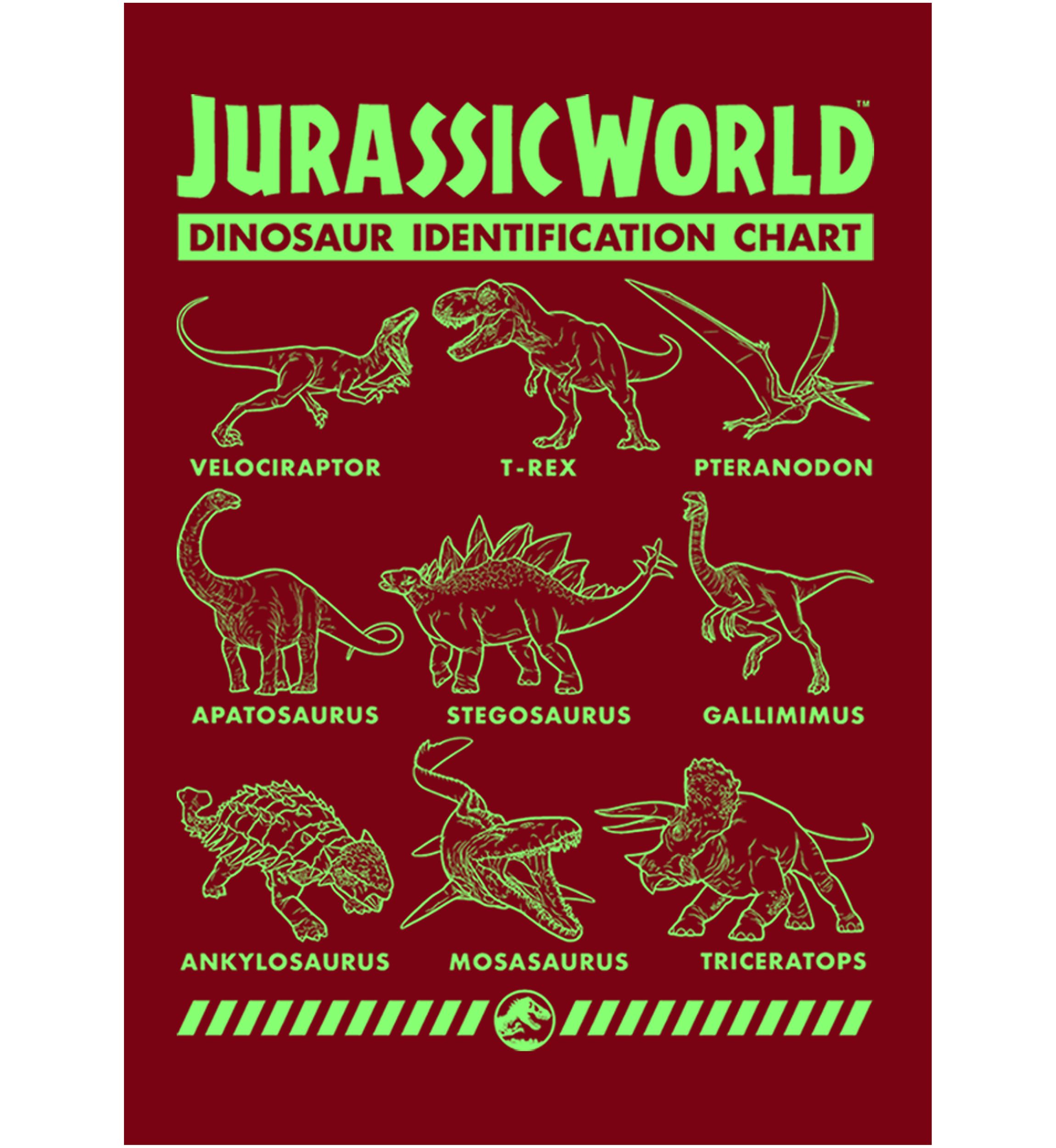 Dino Identification Graphic Short Sleeve T-Shirt