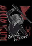 Black Widow Retro Graphic Fleece Hoodie