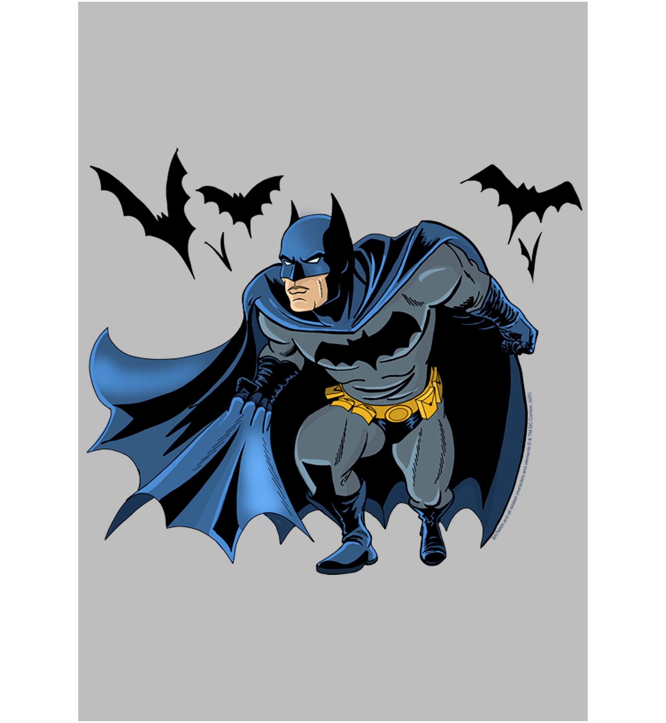 The Dark Knight Graphic Short Sleeve T-Shirt
