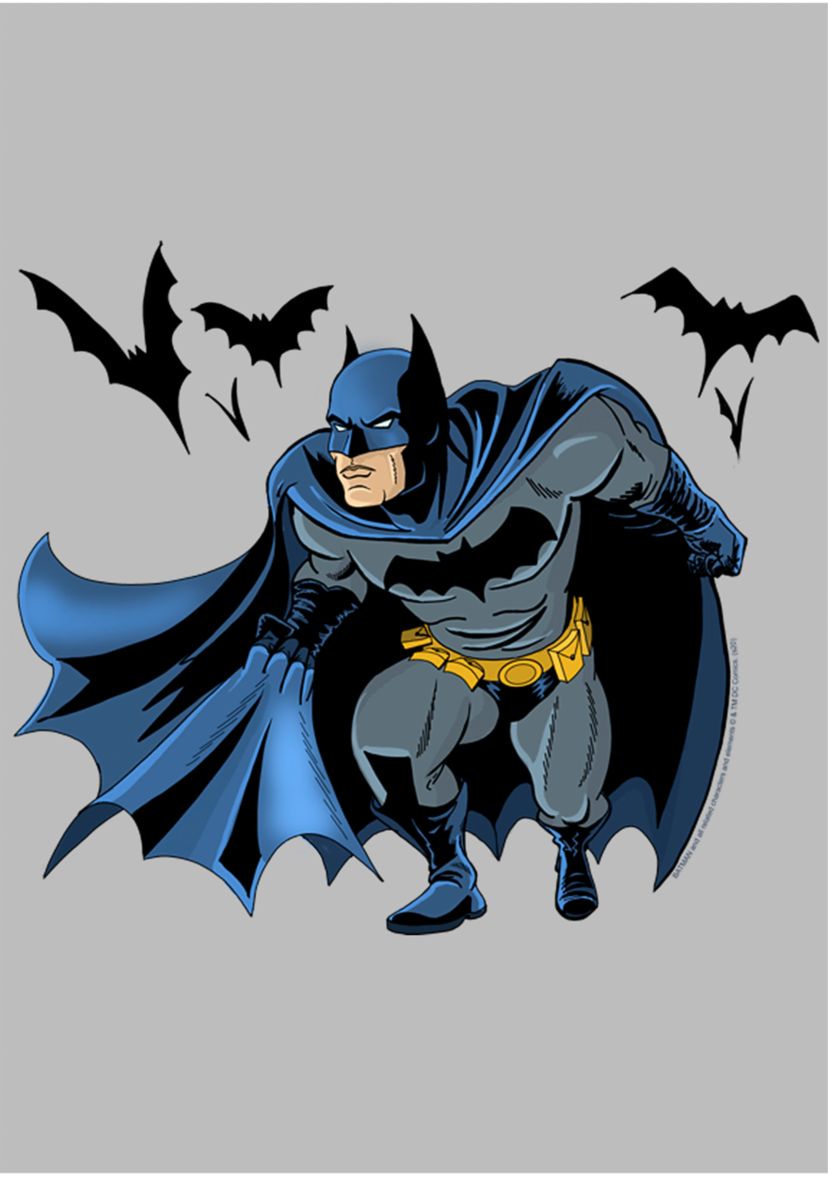 The Dark Knight Graphic Short Sleeve T-Shirt