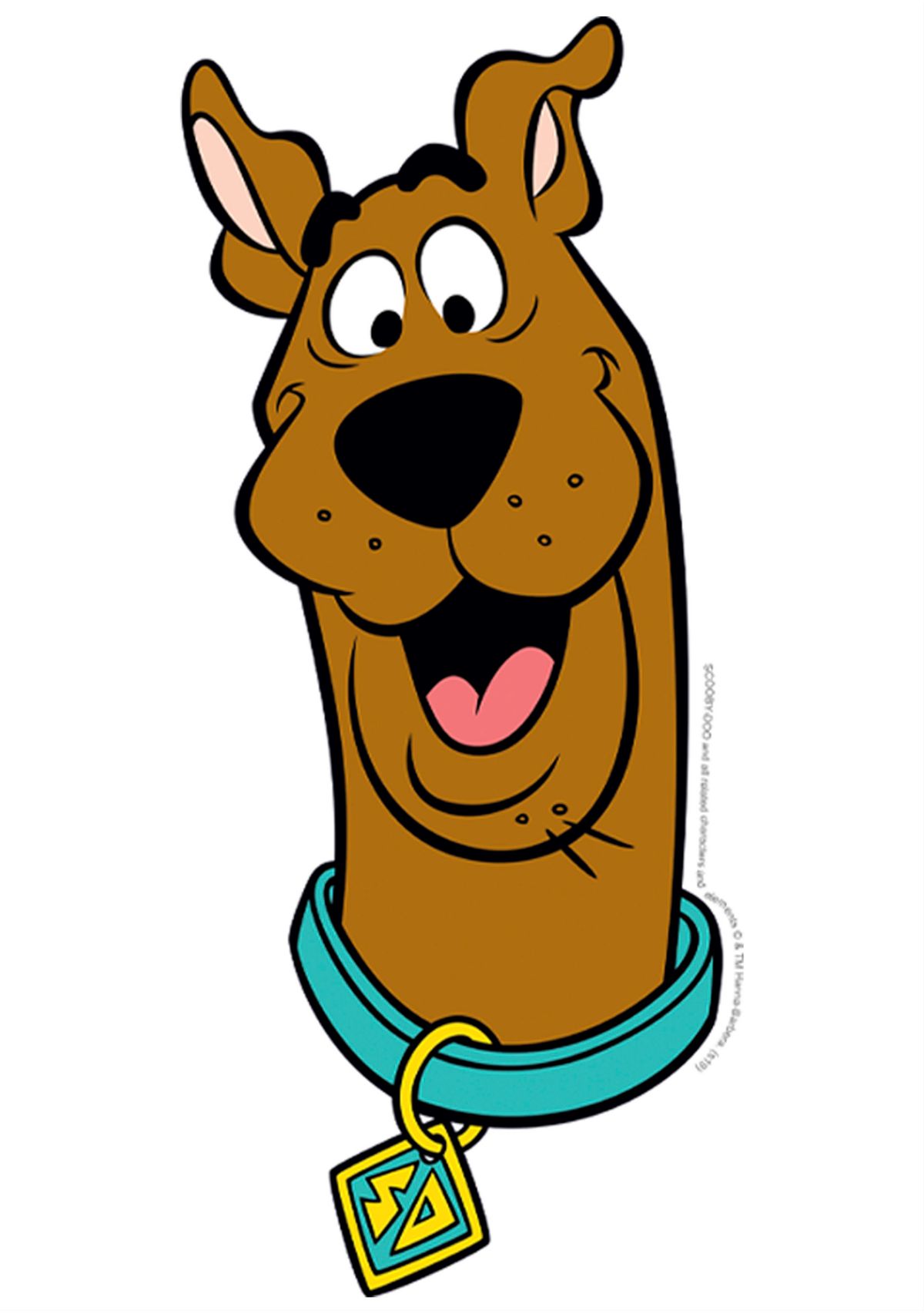 Scooby Face Graphic Short Sleeve T-Shirt