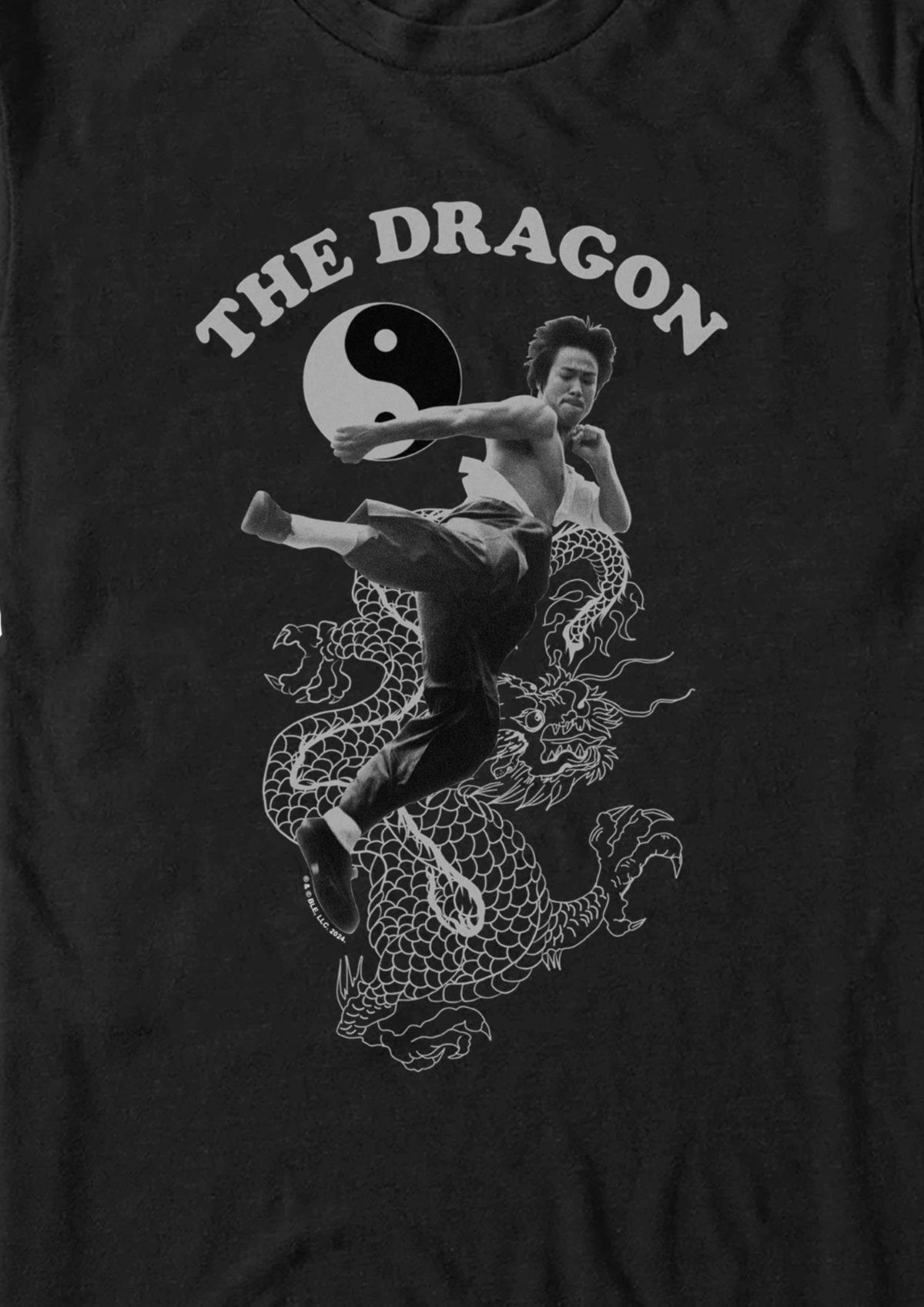 Flying Dragon Graphic T-Shirt
