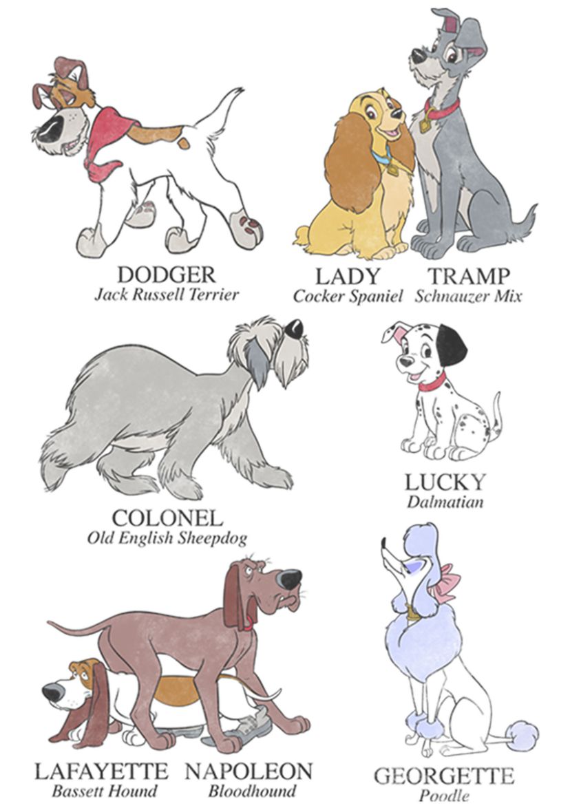  Dog Breeds Short Sleeve T-Shirt