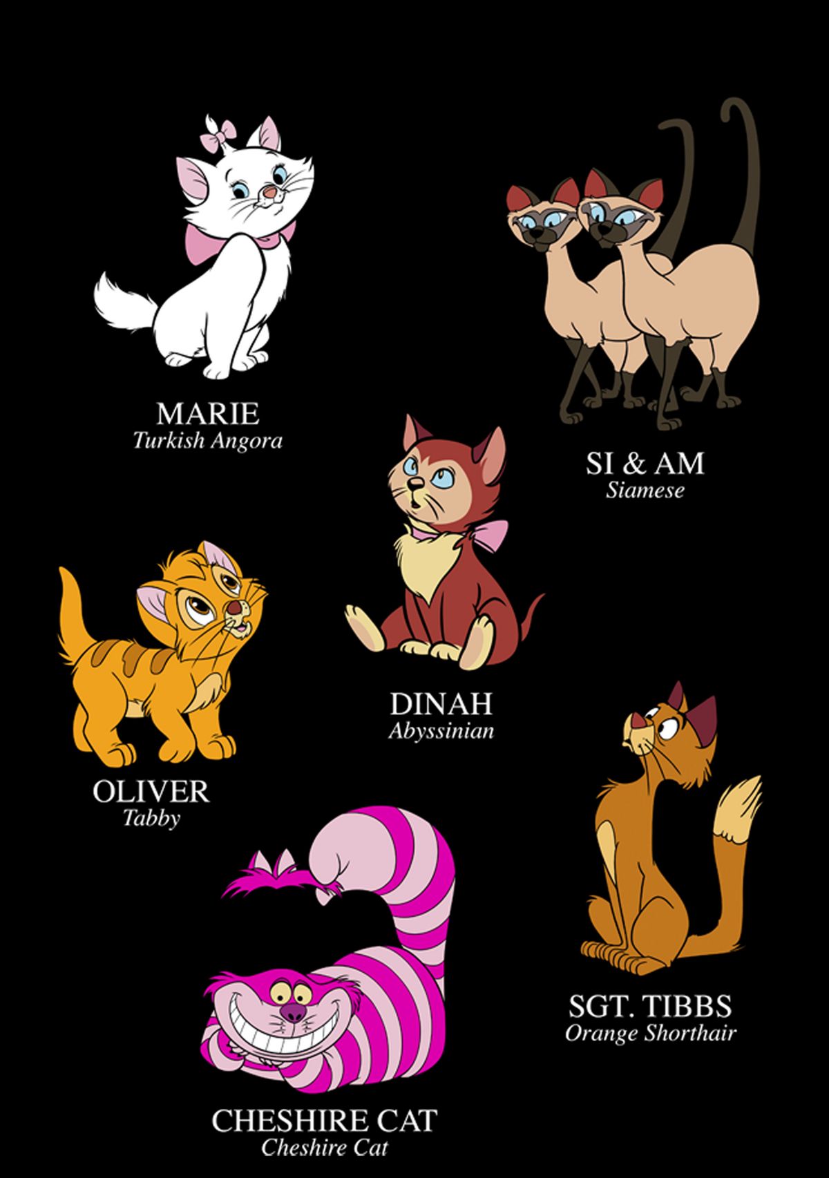 Cat Breeds Short Sleeve Graphic T-Shirt