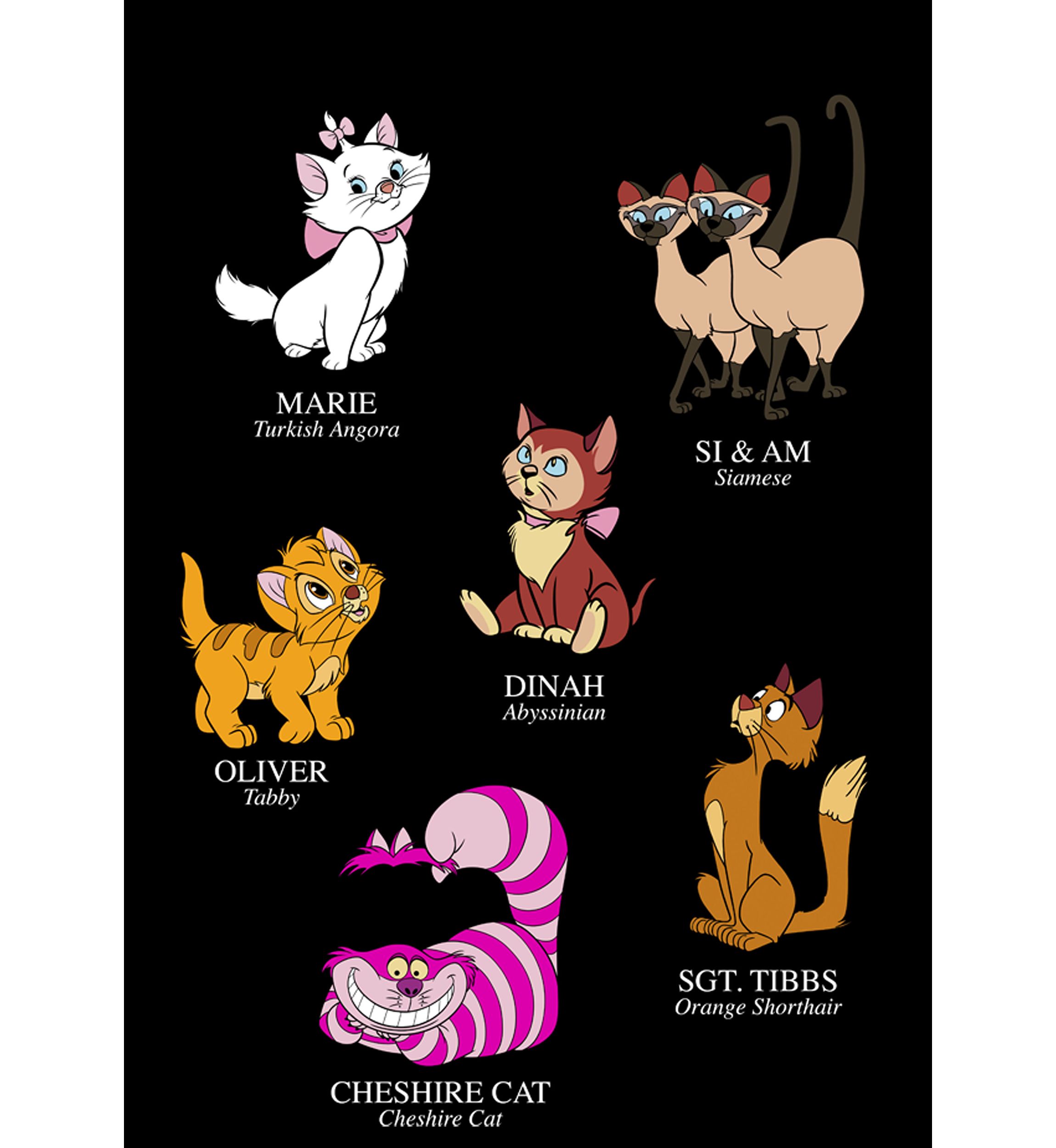 Cat Breeds Short Sleeve Graphic T-Shirt