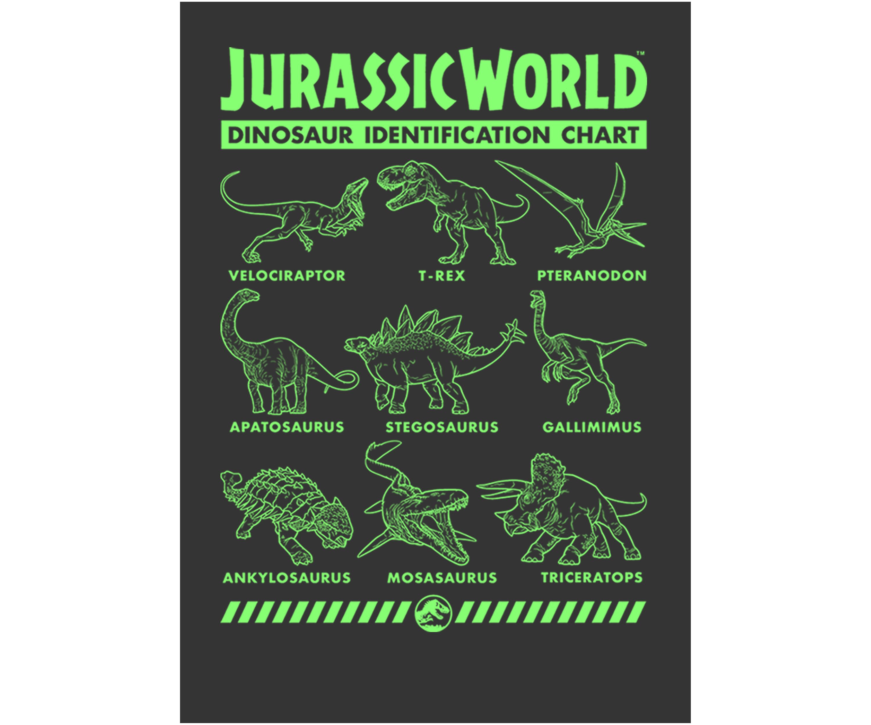 Dino Identification Graphic Crew Fleece Sweatshirt