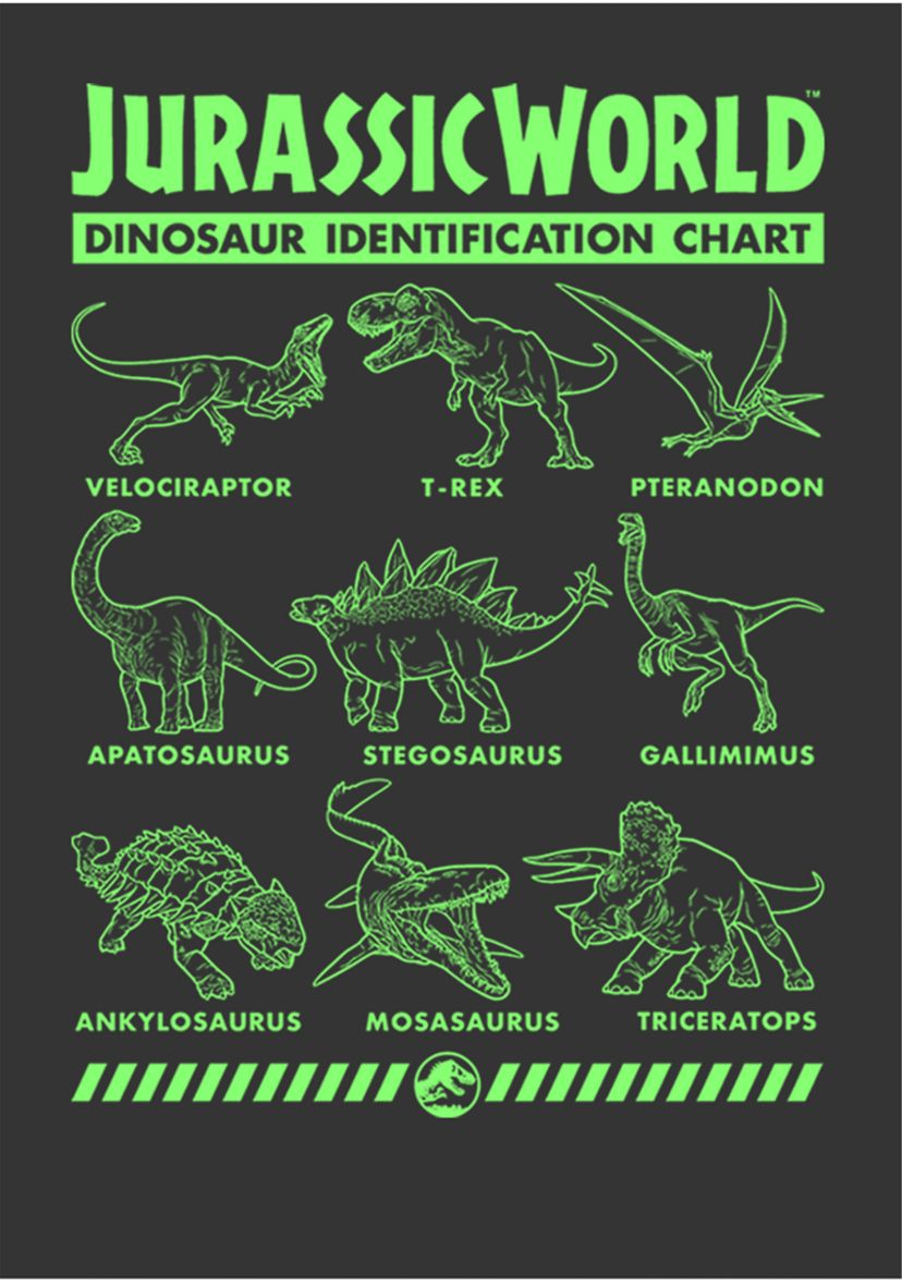 Dino Identification Graphic Crew Fleece Sweatshirt