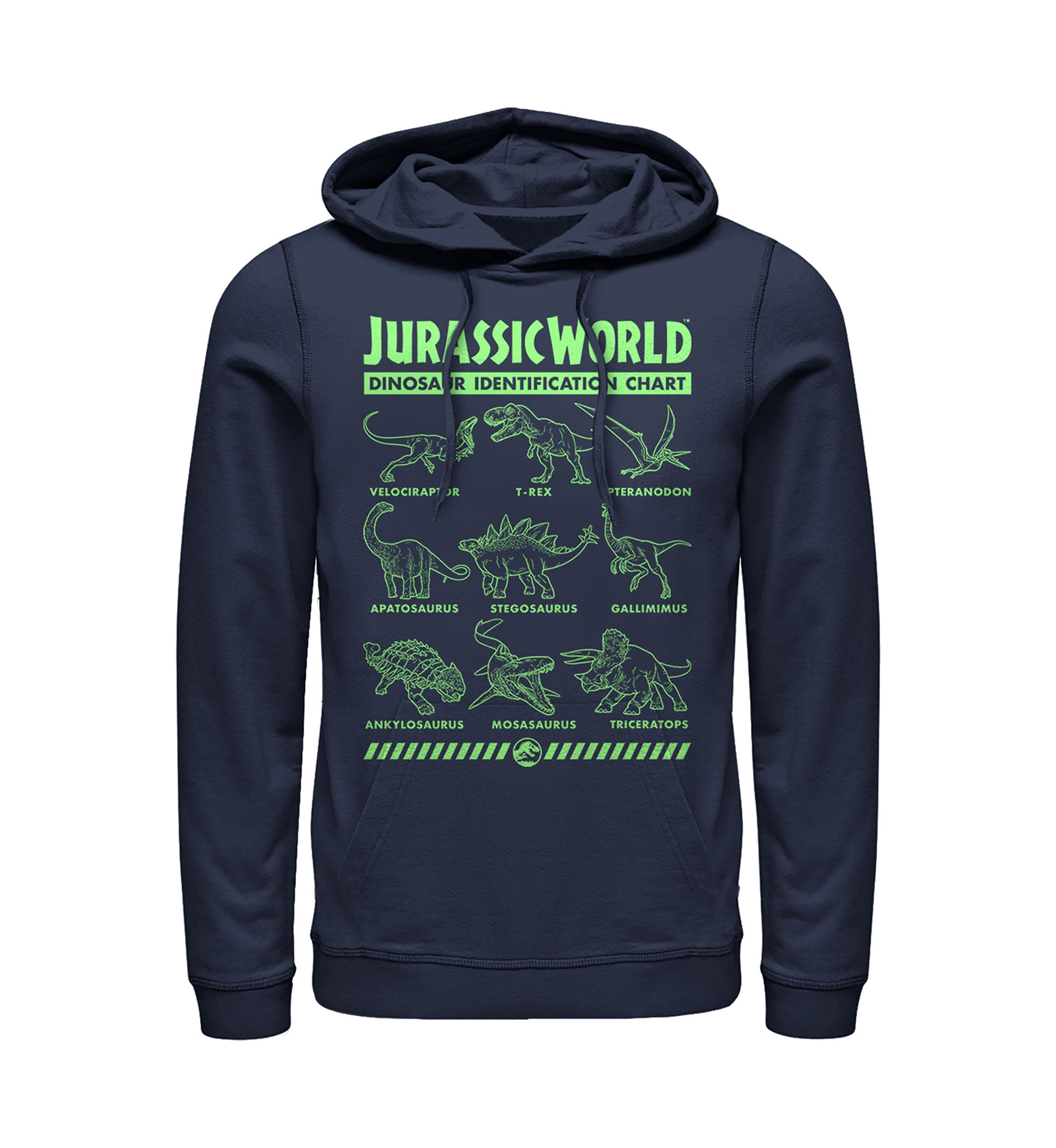 Dino Identification Graphic Fleece Hoodie