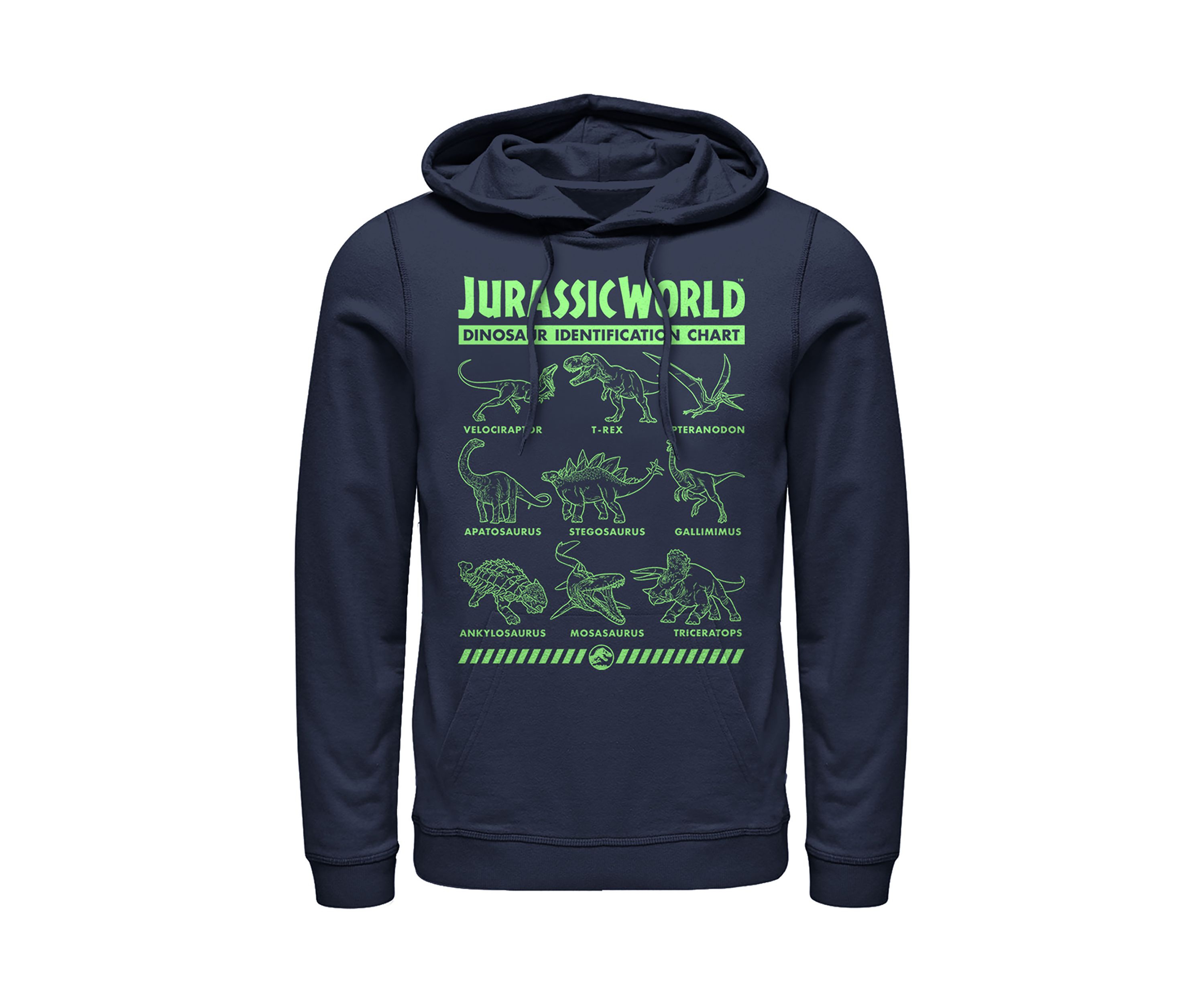 Dino Identification Graphic Fleece Hoodie