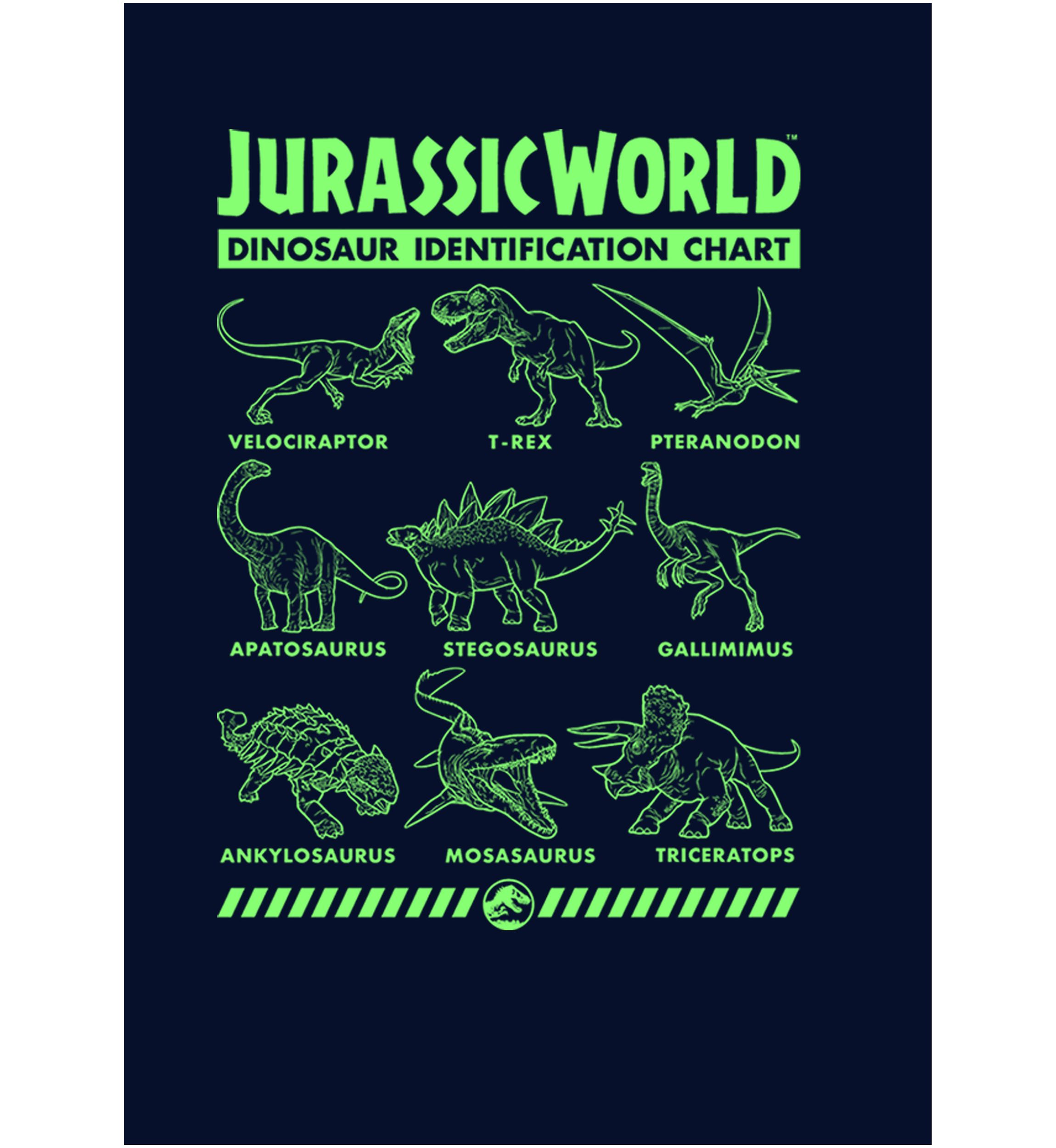 Dino Identification Graphic Fleece Hoodie