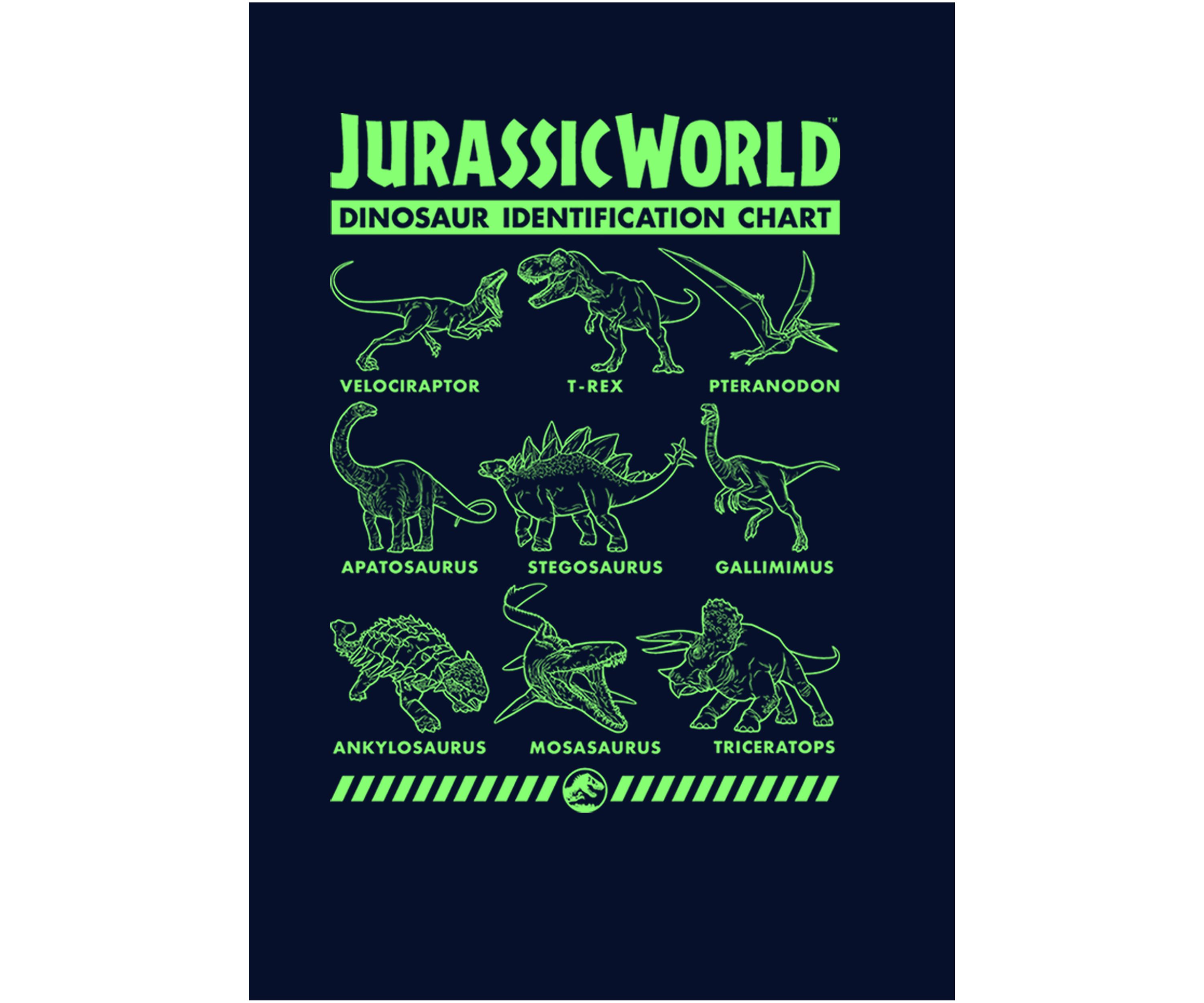 Dino Identification Graphic Fleece Hoodie