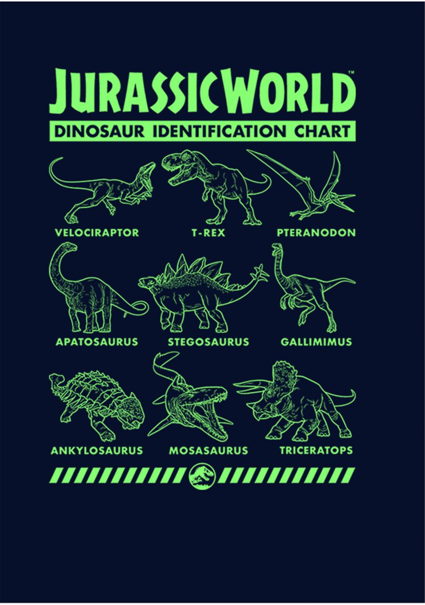 Dino Identification Graphic Fleece Hoodie