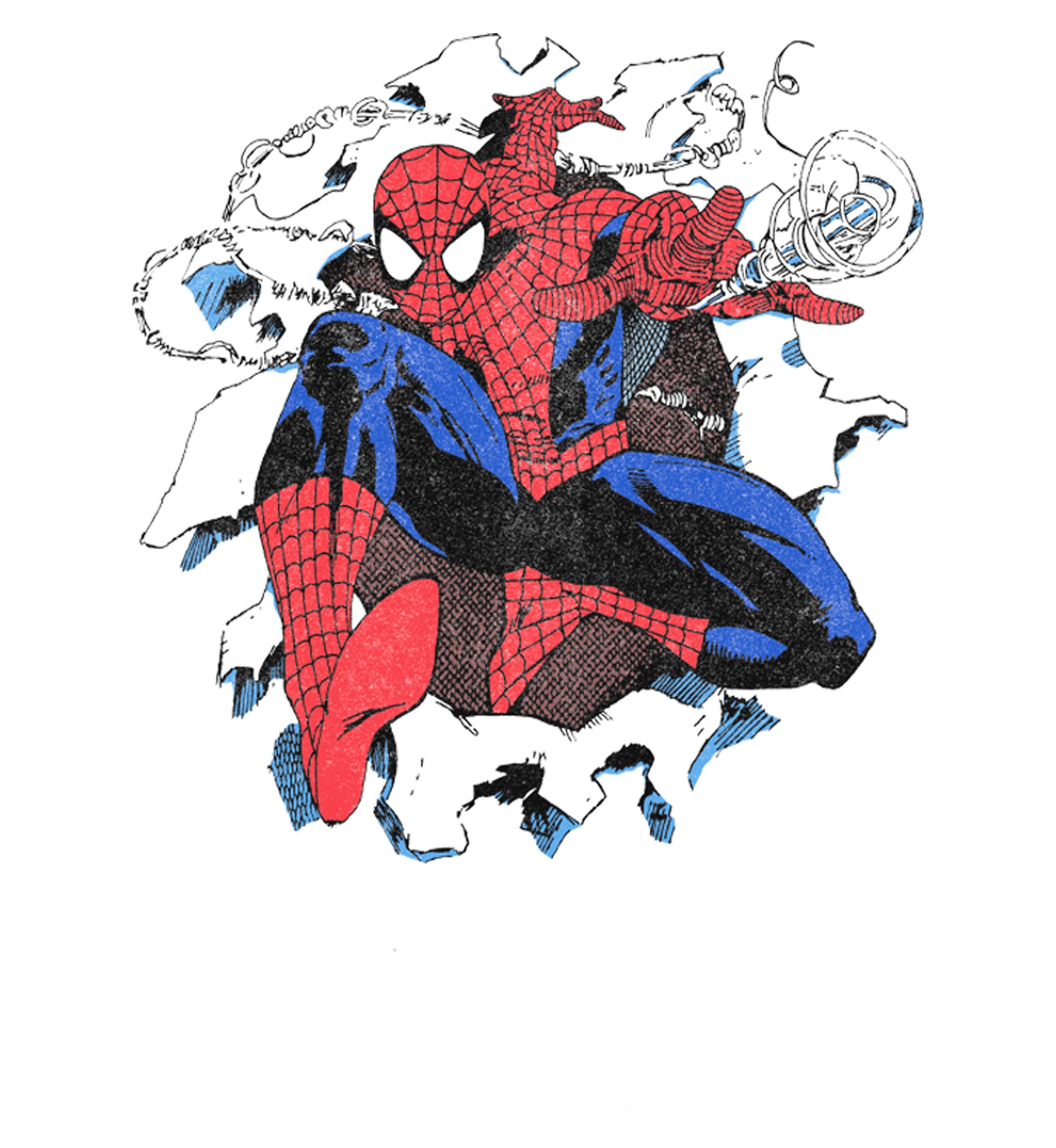 Spiderman Graphic T-Shirt