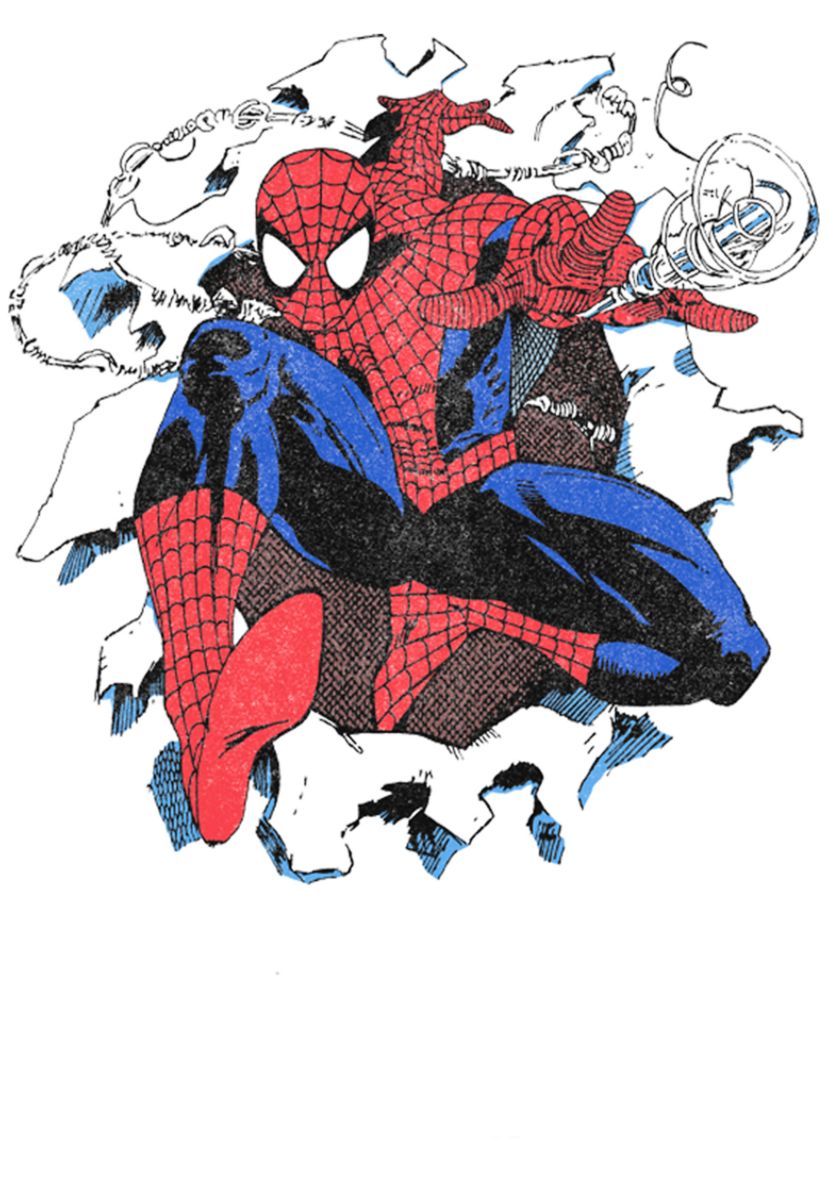 Spiderman Graphic T-Shirt