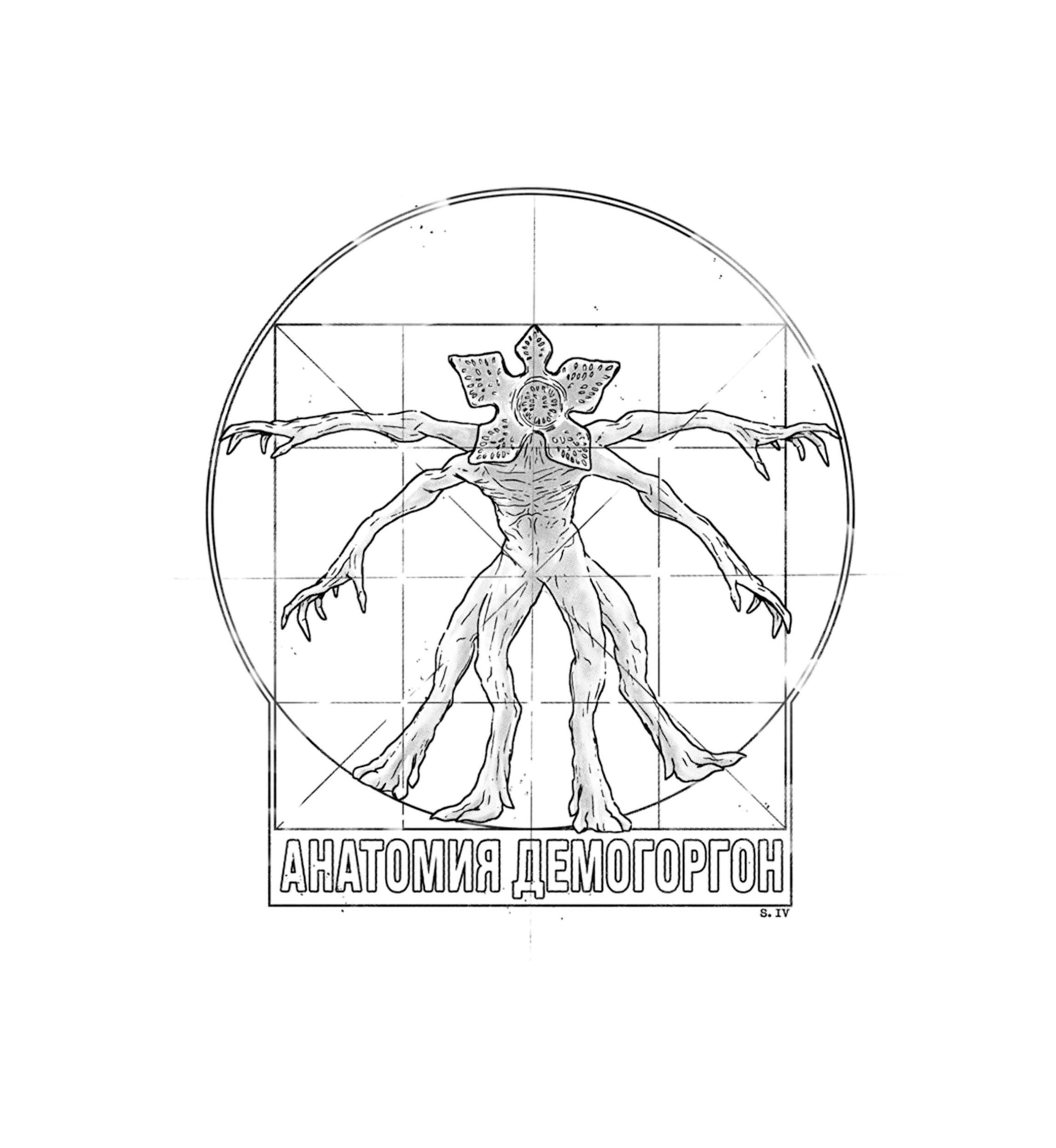 Demo Anatomy Graphic T-Shirt