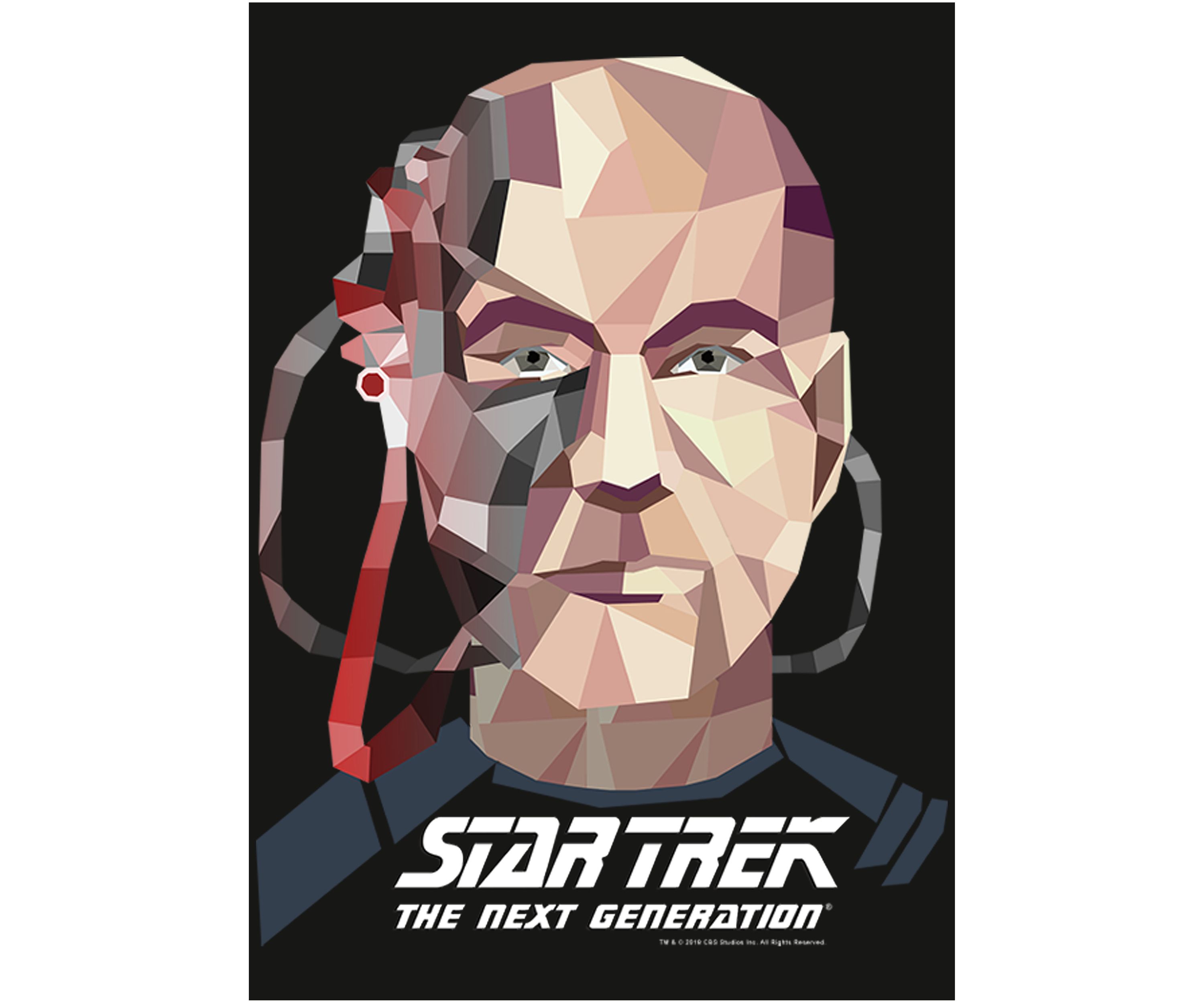 Picard Poly
