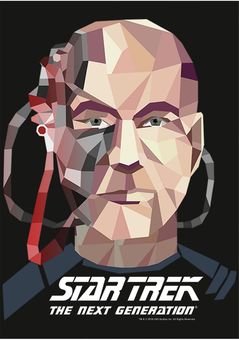 Picard Poly