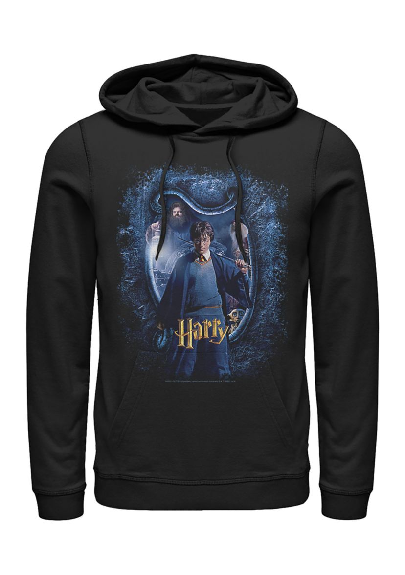 Harry Potter Chamber Harry and Sword Fleece Graphic Hoodie