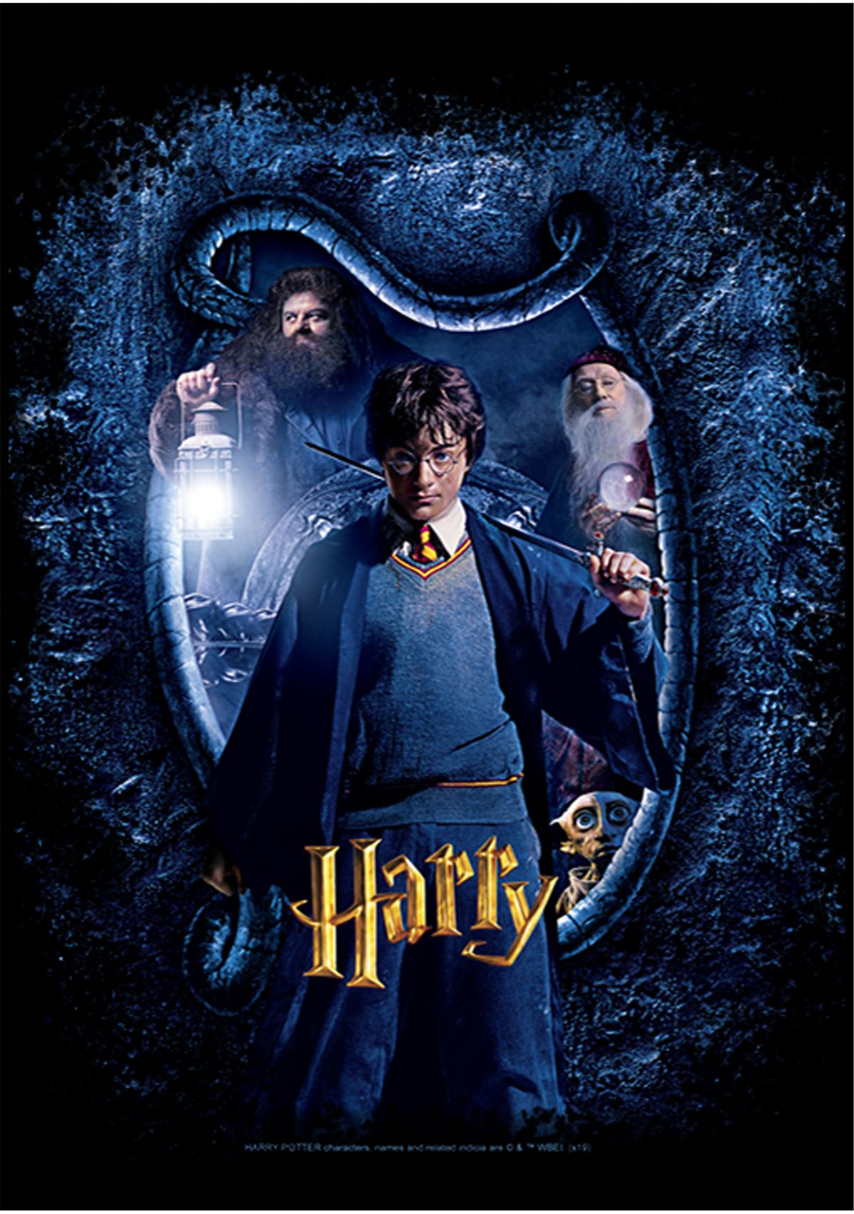 Harry Potter Chamber Harry and Sword Fleece Graphic Hoodie