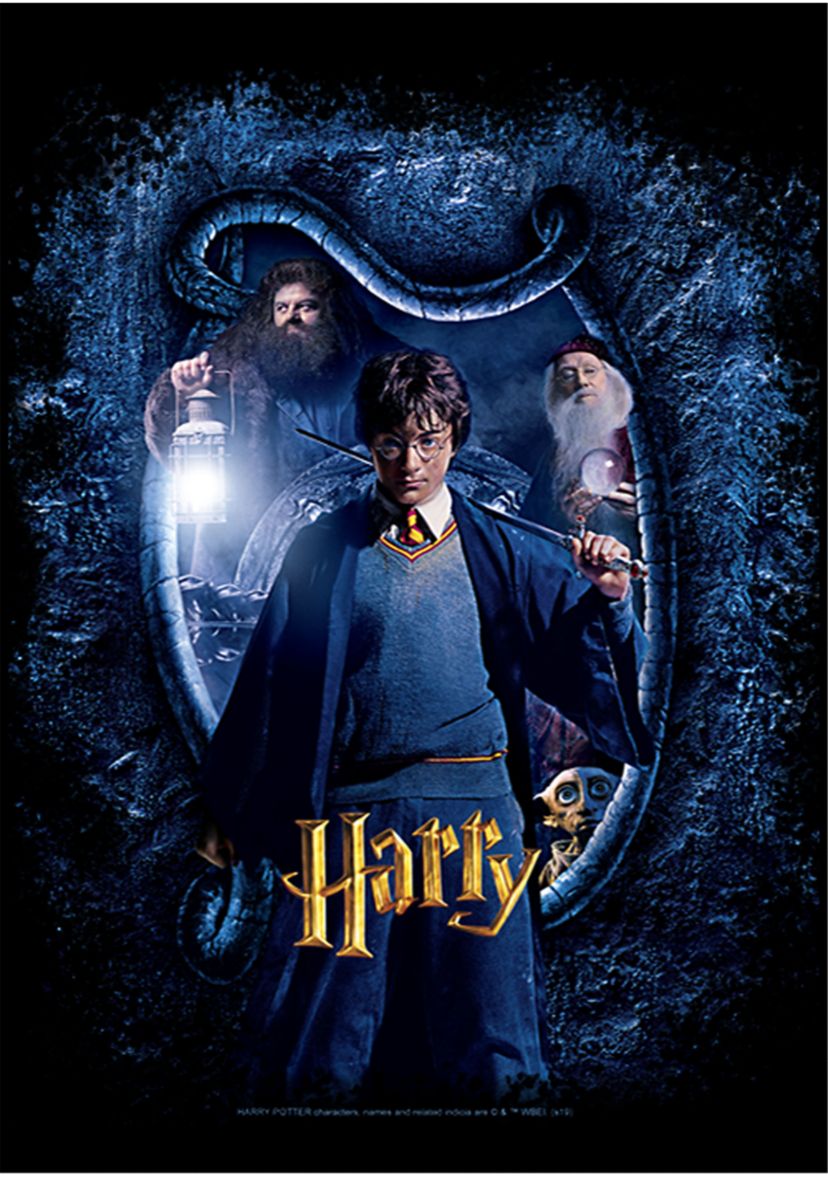 Harry Potter Chamber Harry and Sword Fleece Graphic Hoodie