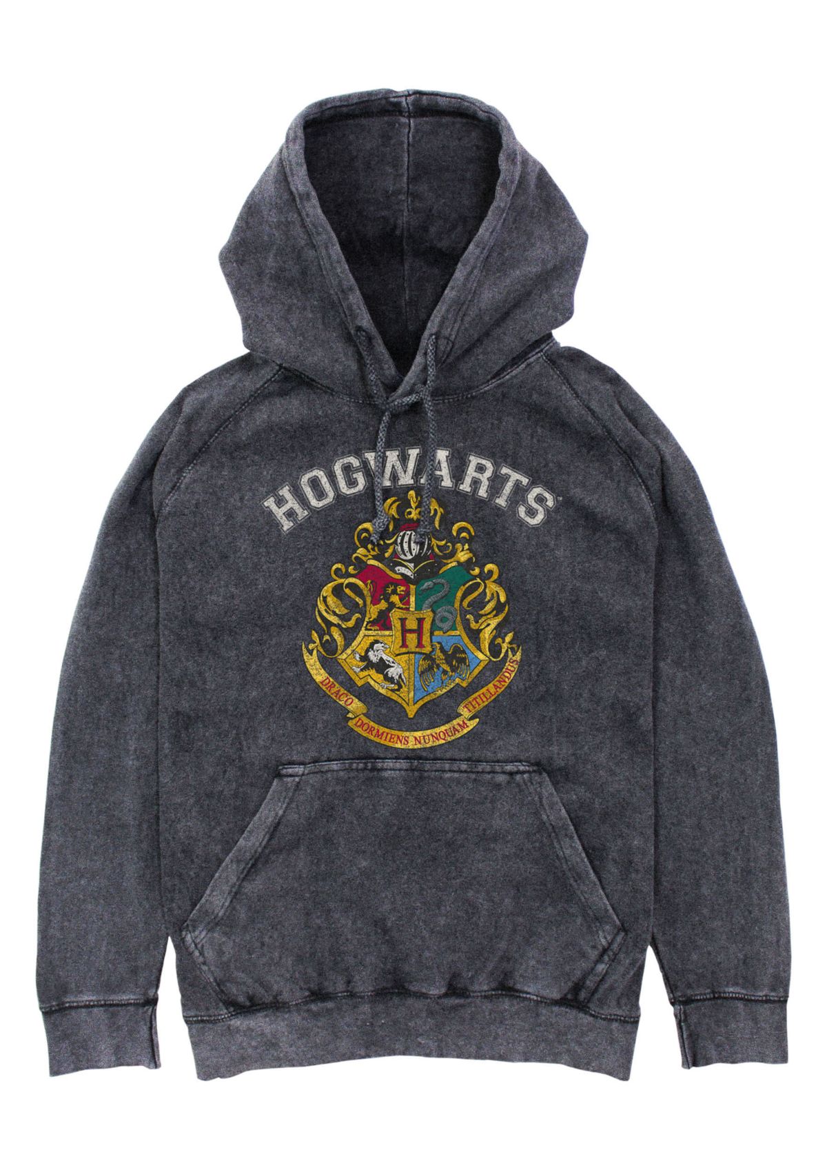 Harry Potter Vintage Logo Graphic Fleece Hoodie