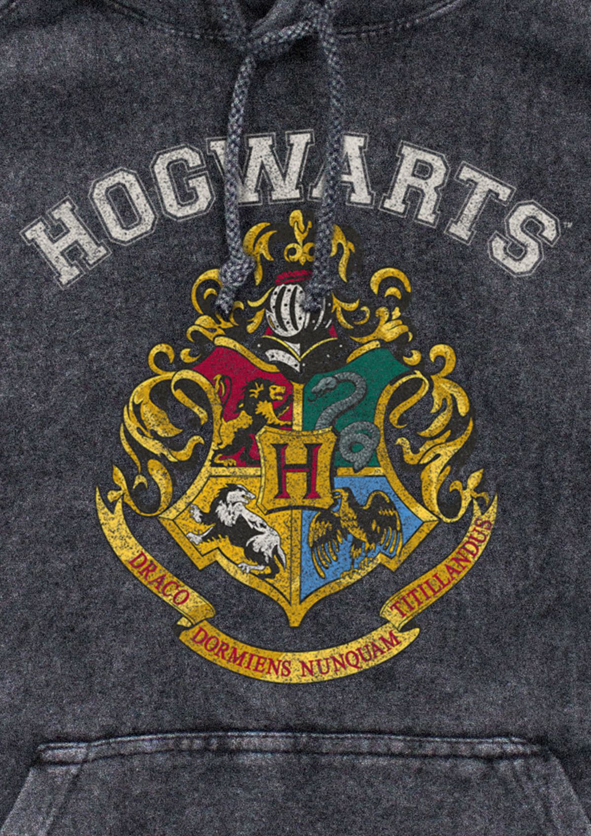 Harry Potter Vintage Logo Graphic Fleece Hoodie