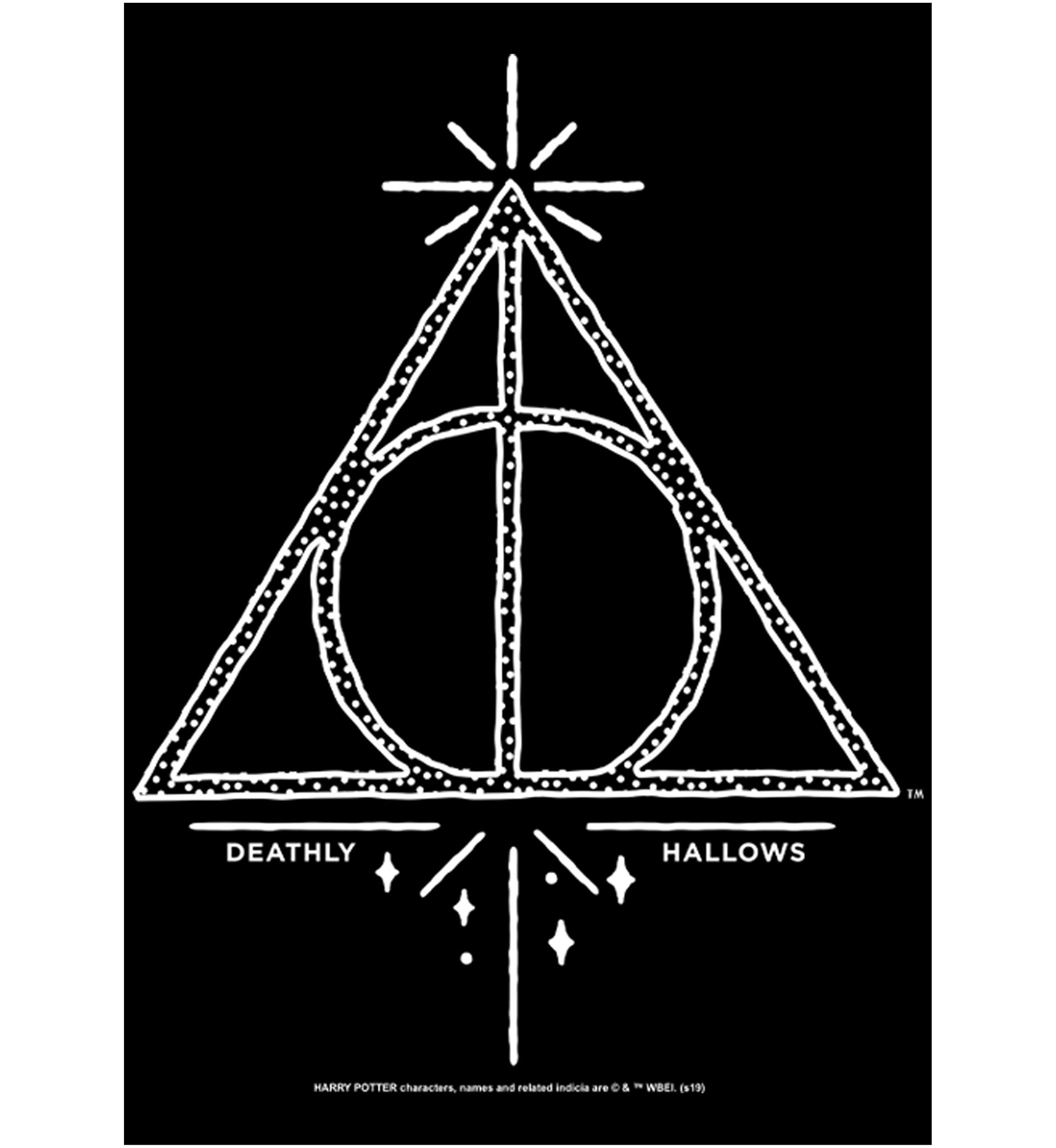 Harry Potter Deathly Hallows Line Symbol Fleece Graphic Hoodie