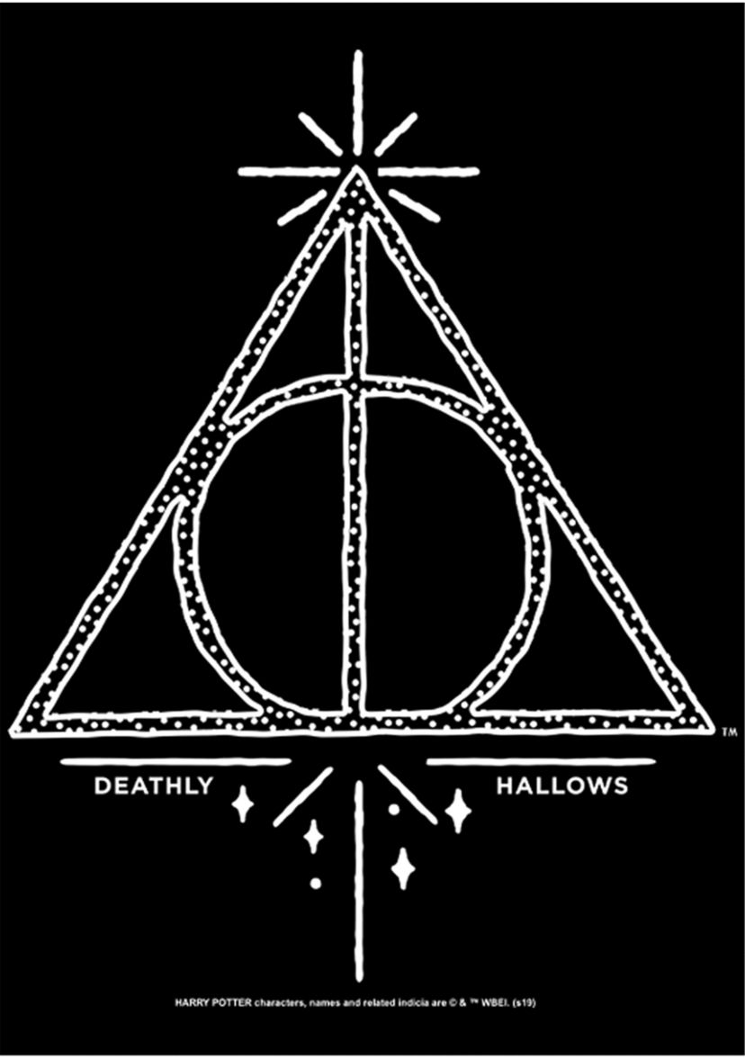 Harry Potter Deathly Hallows Line Symbol Fleece Graphic Hoodie